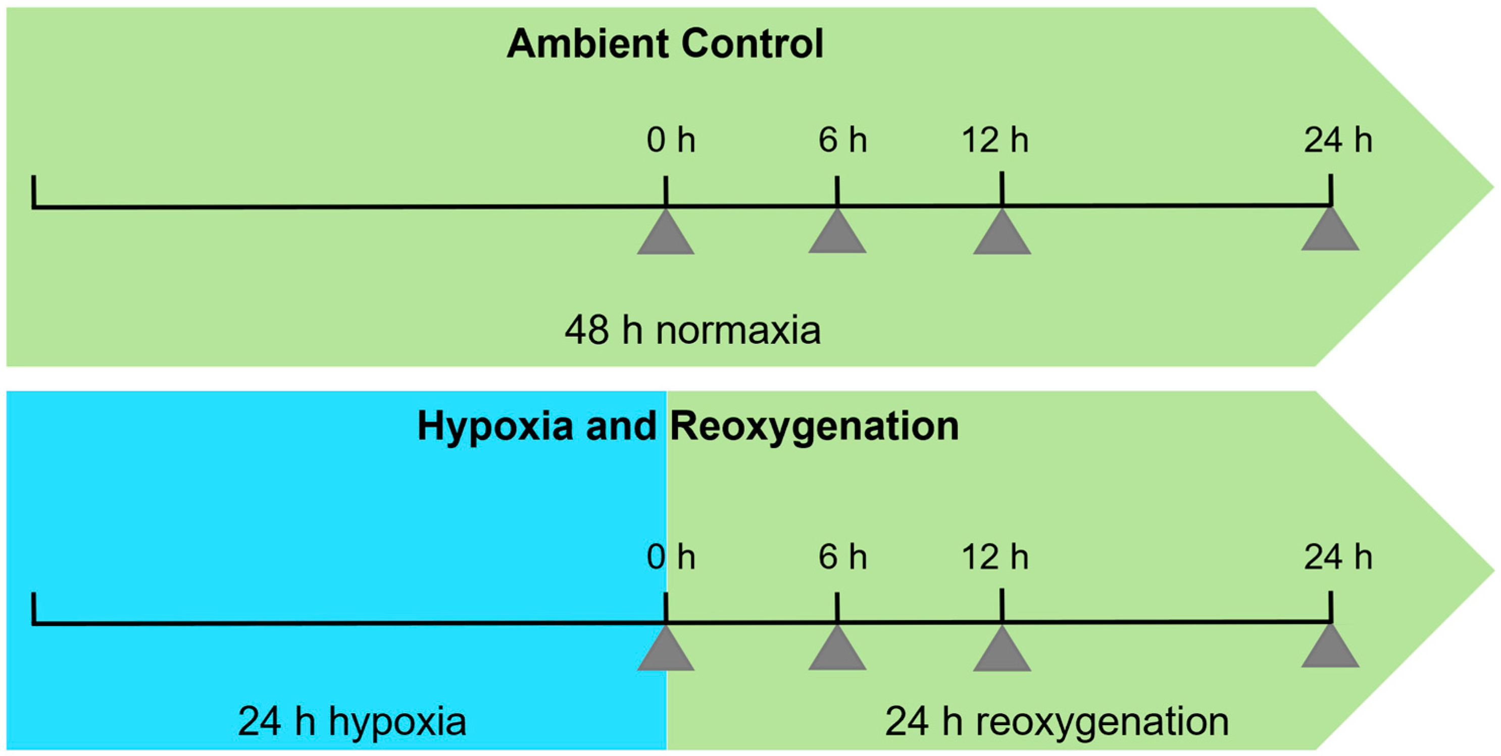 Stresses 03 00008 g001