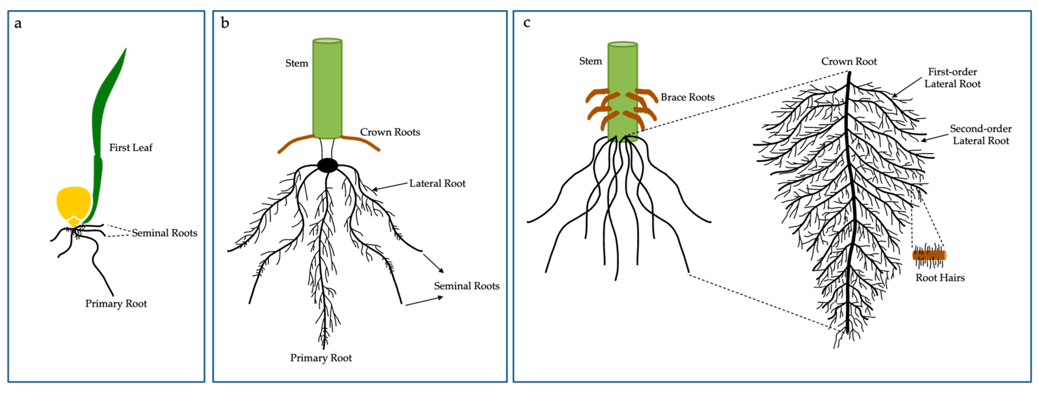 Stresses 03 00011 g002
