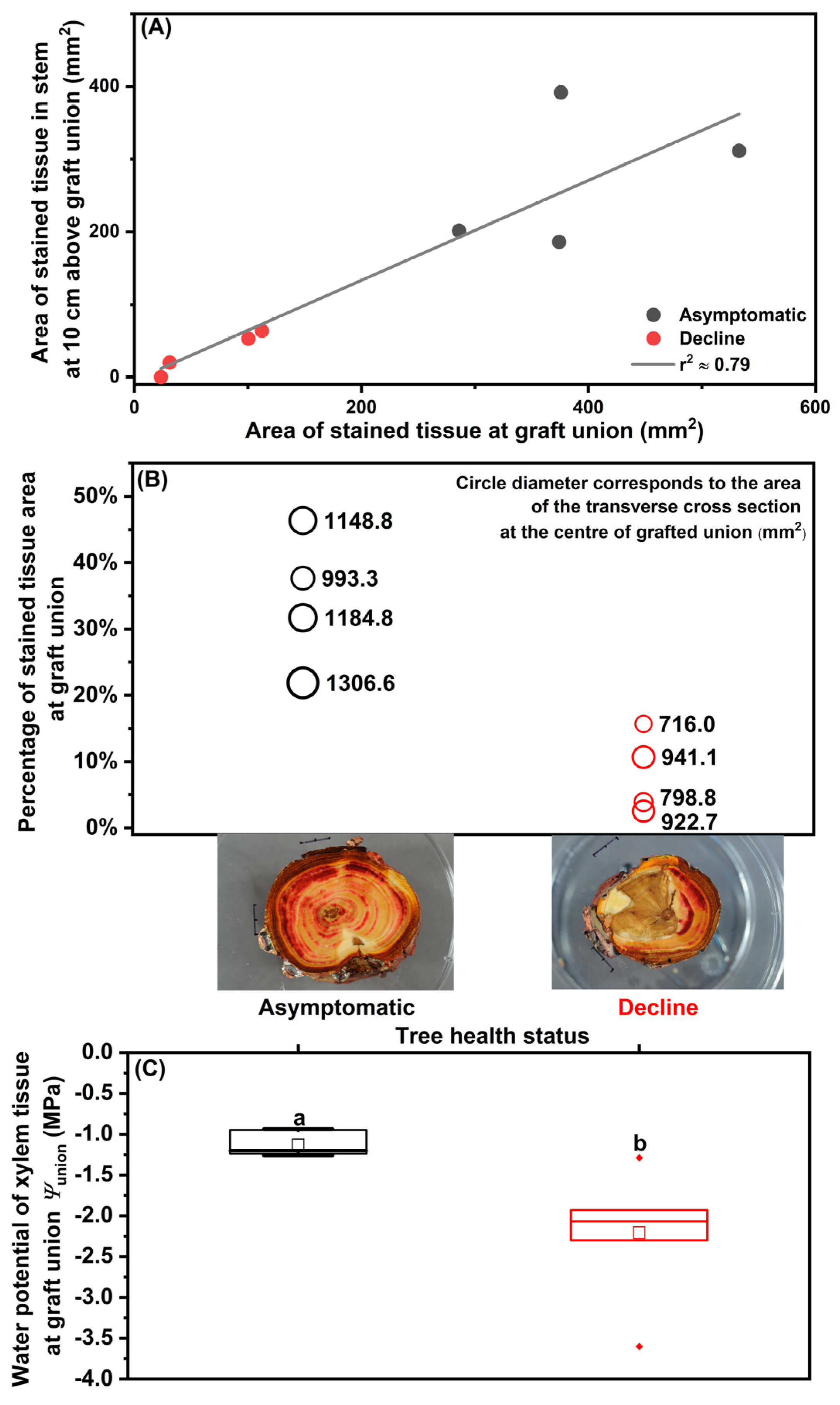 Stresses 03 00019 g001 Stresses 03 00019 g001
