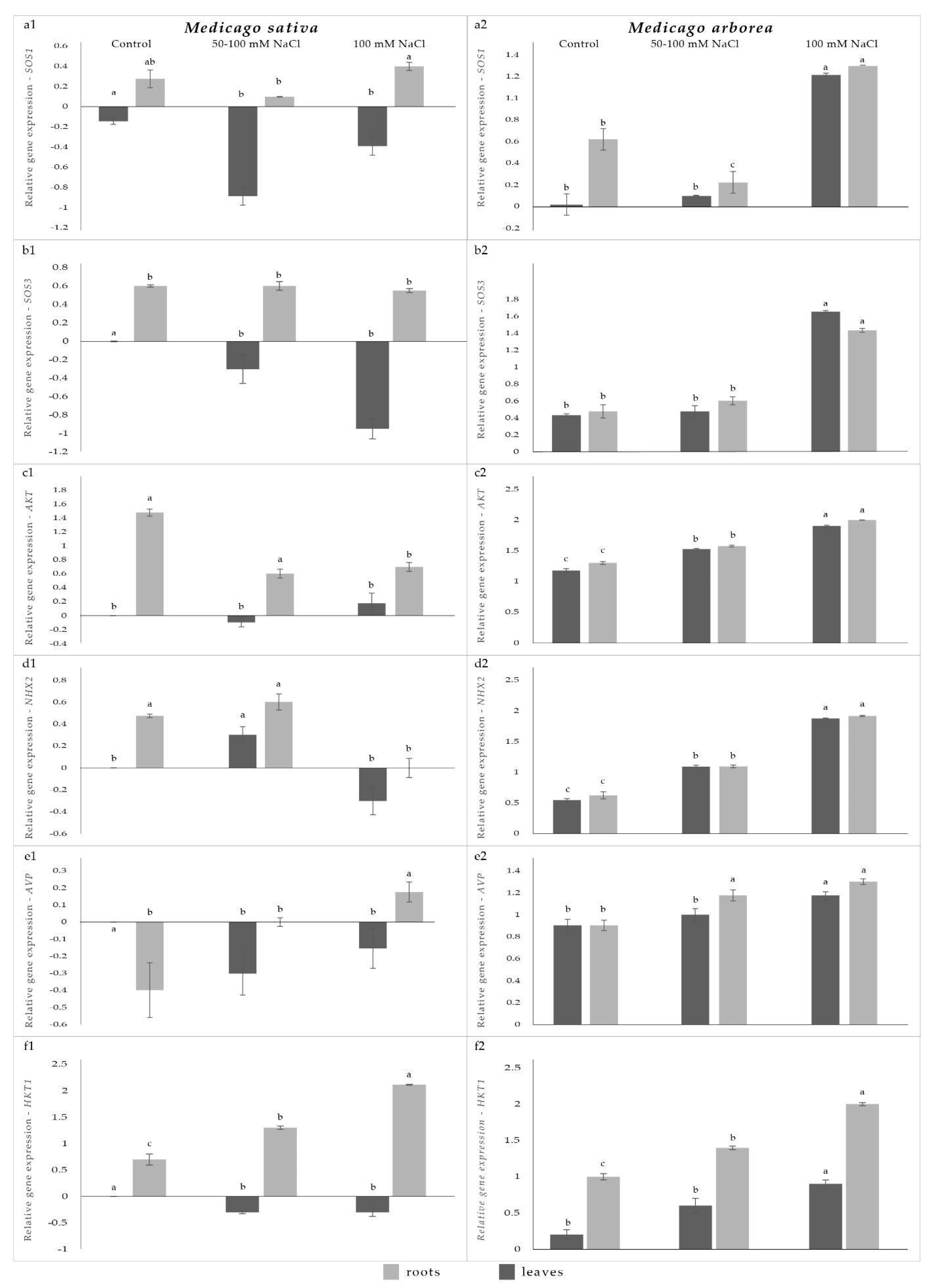 Stresses 03 00024 g001 Stresses 03 00024 g001