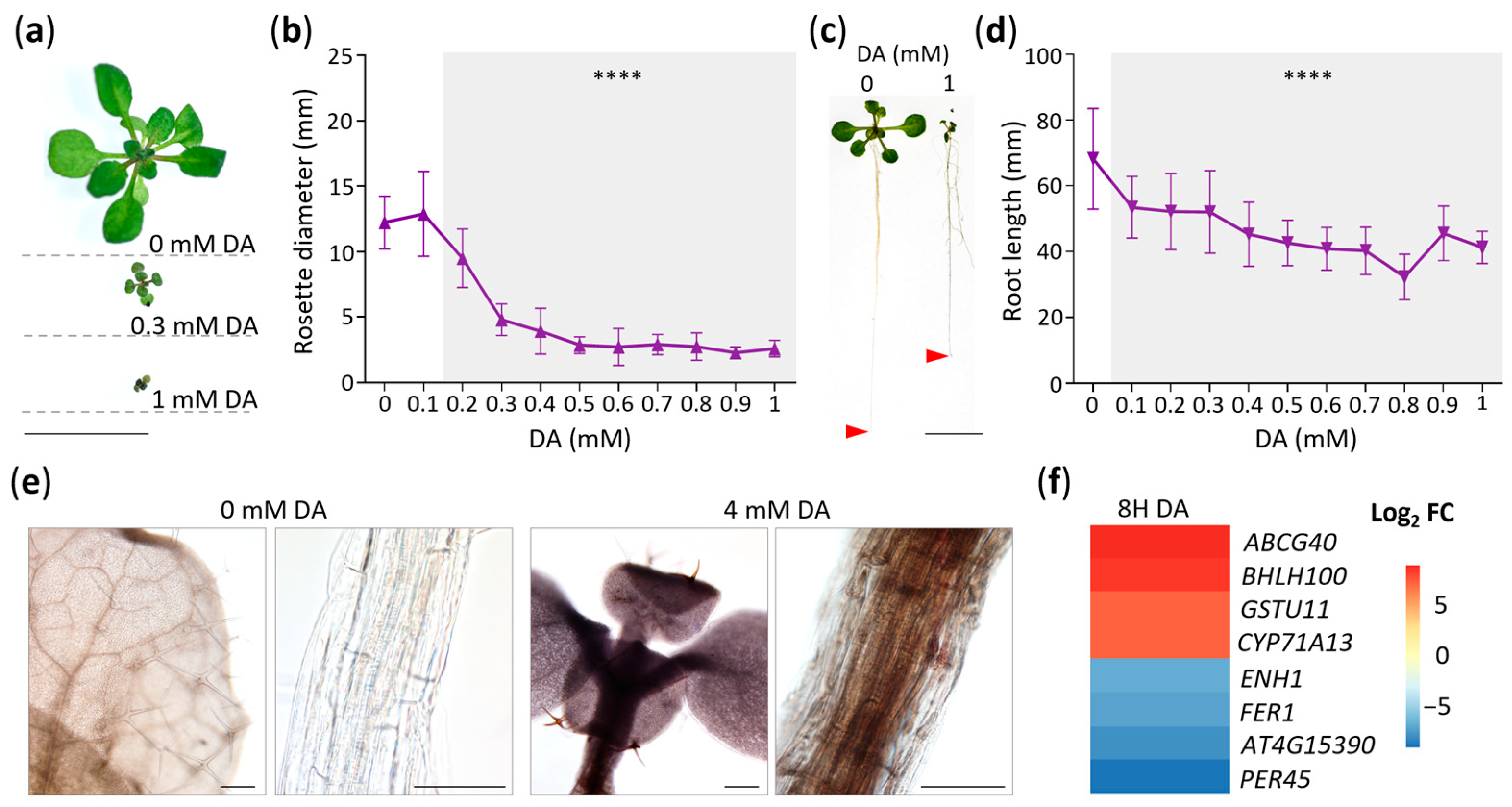 Stresses 03 00026 g001 Stresses 03 00026 g001