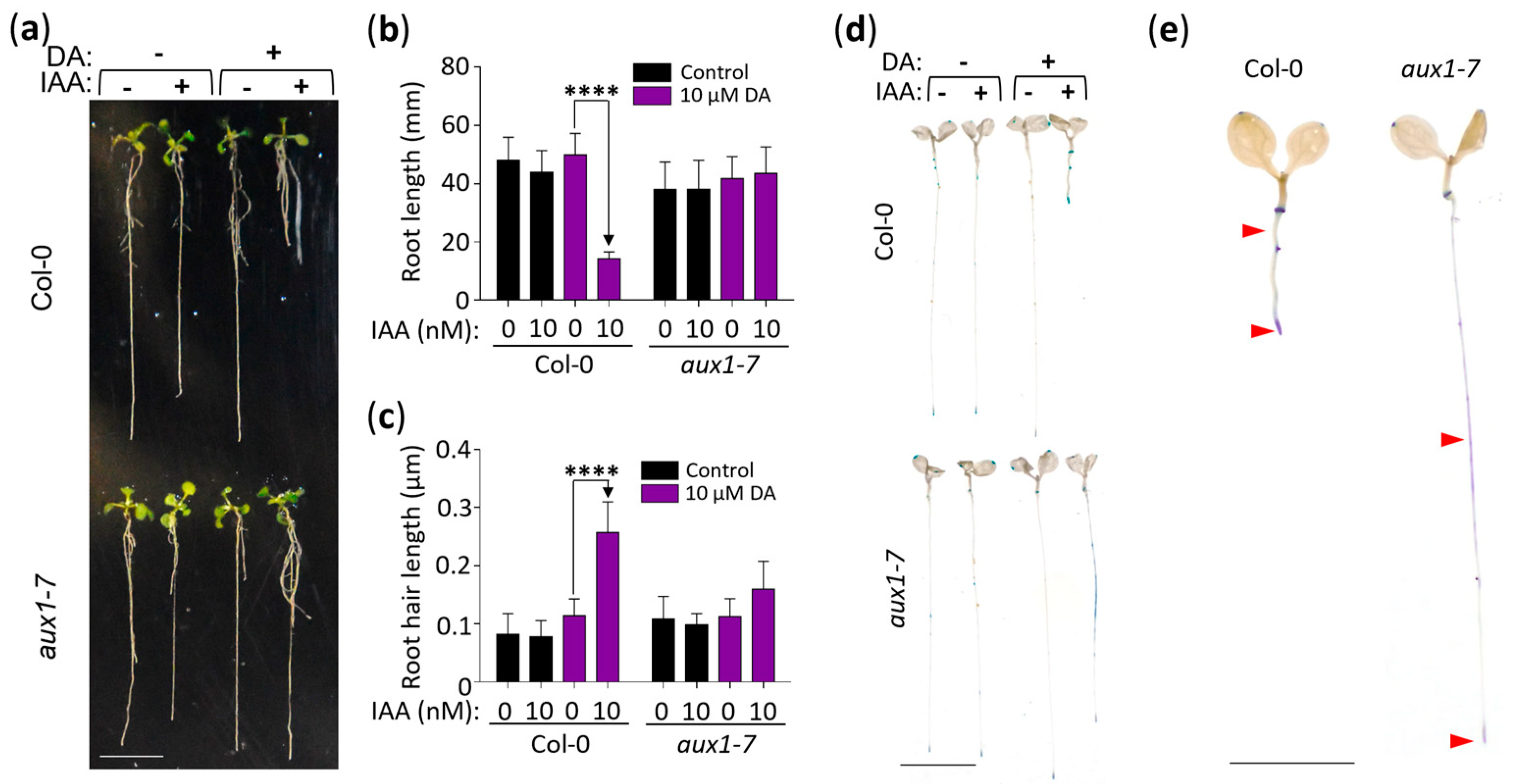 Stresses 03 00026 g005 Stresses 03 00026 g005