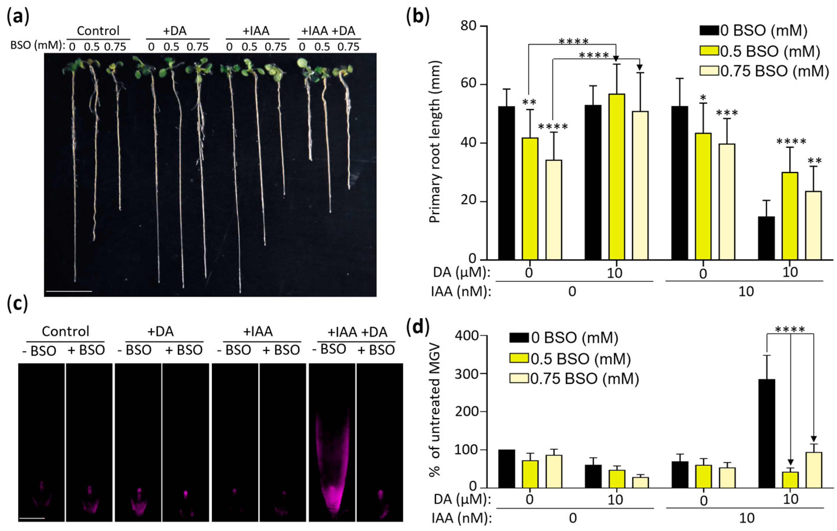 Stresses 03 00026 g007 Stresses 03 00026 g007