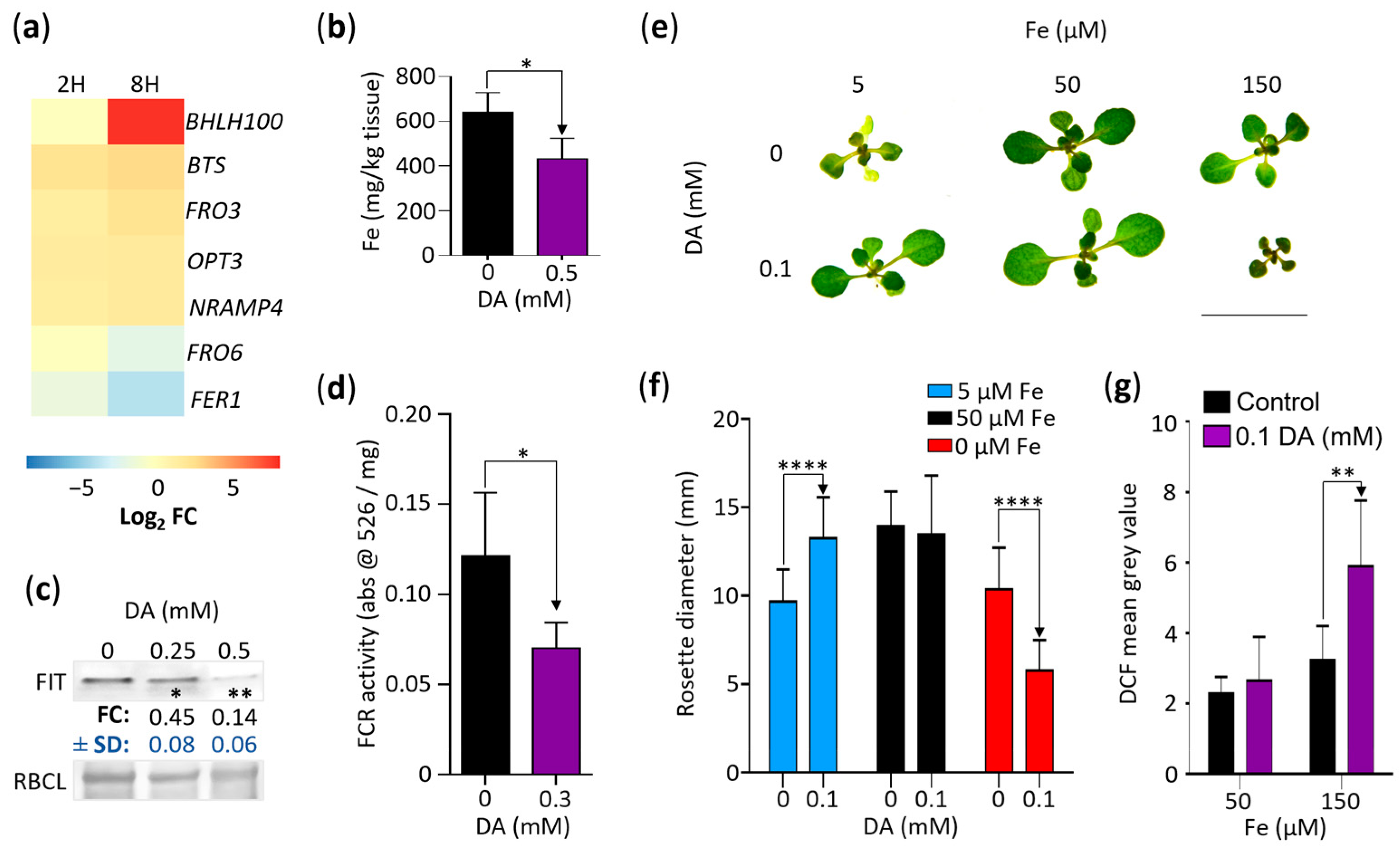 Stresses 03 00026 g008 Stresses 03 00026 g008