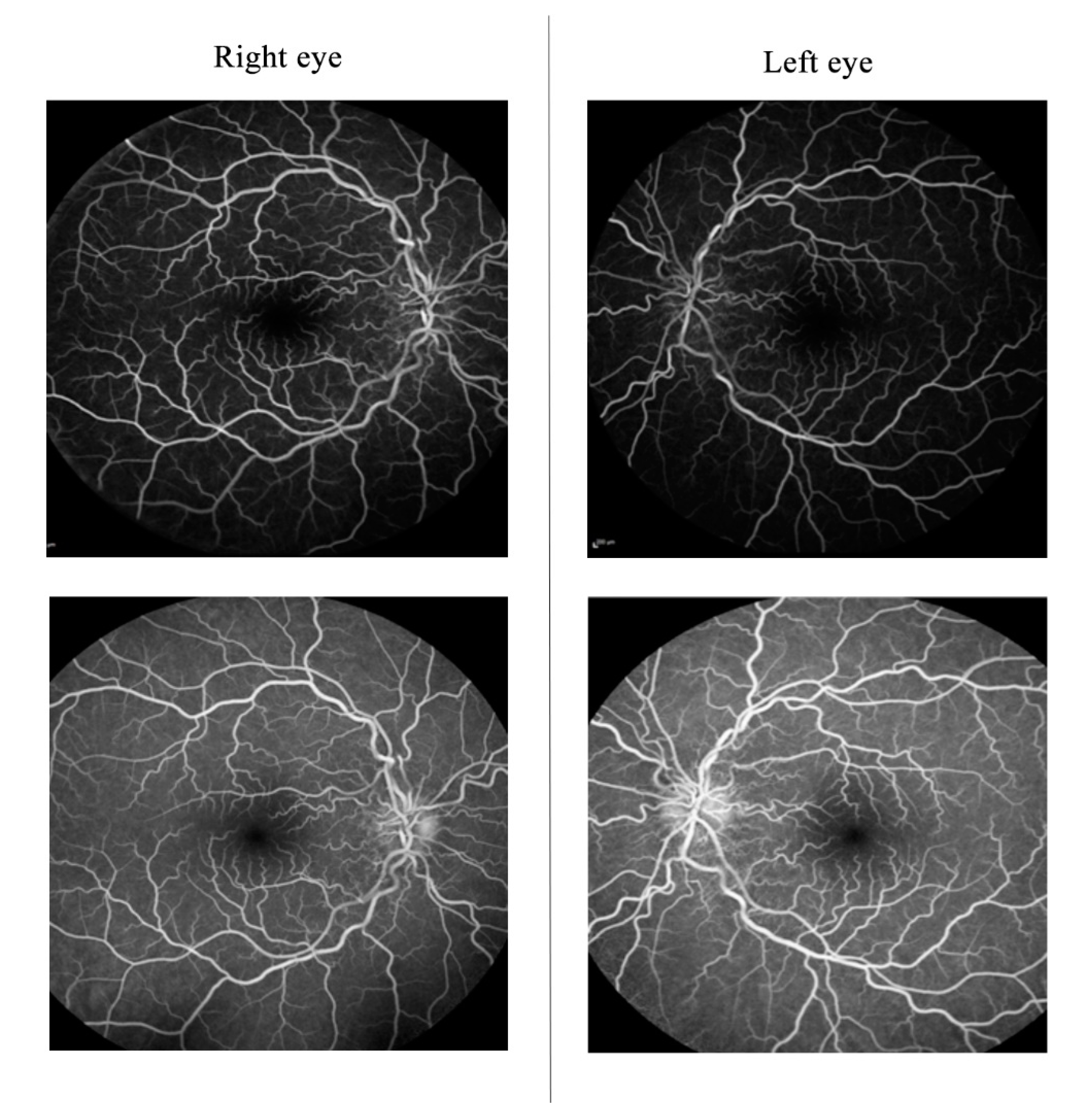 Stresses 03 00028 g003