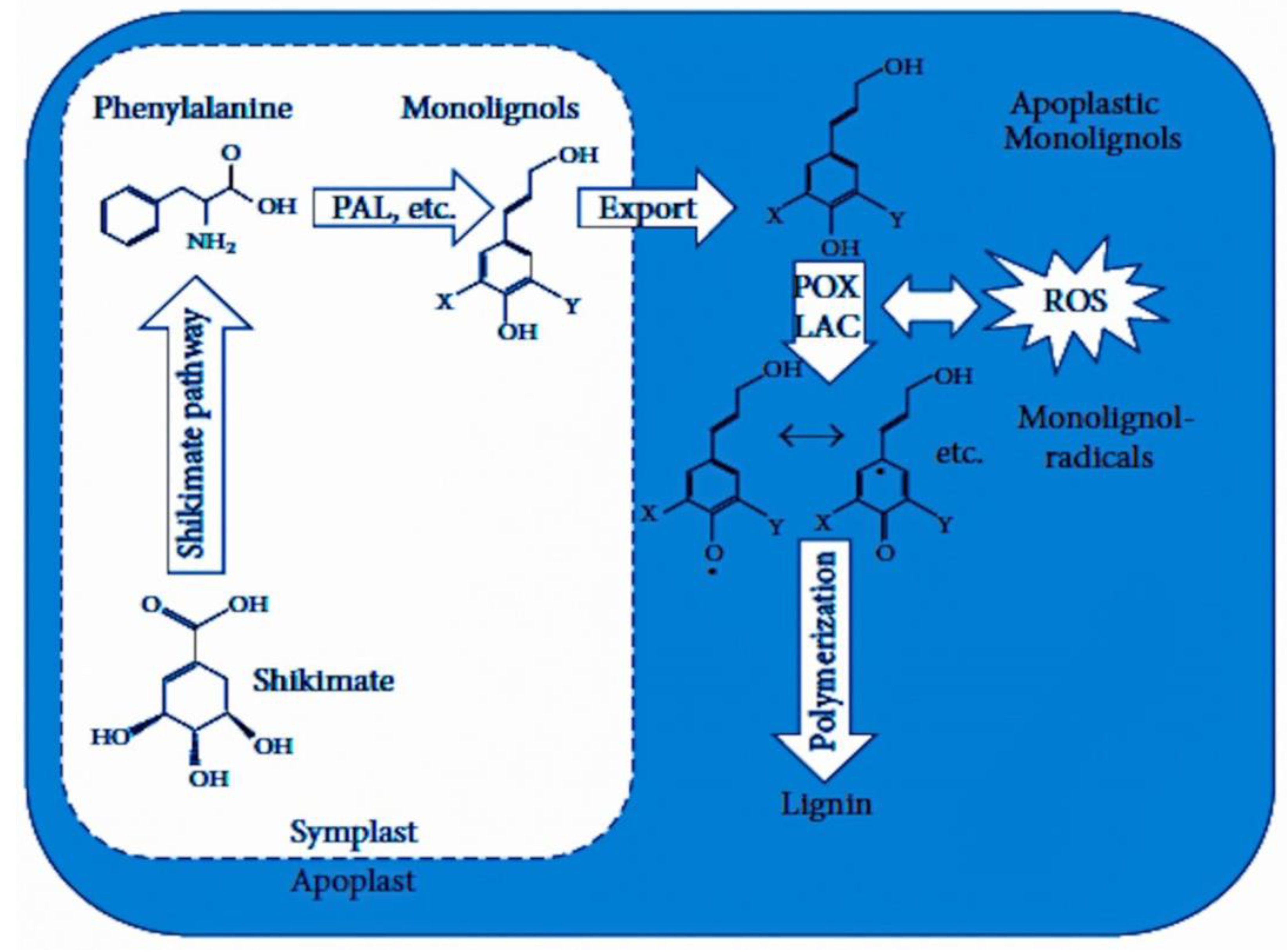 Stresses 03 00032 g003