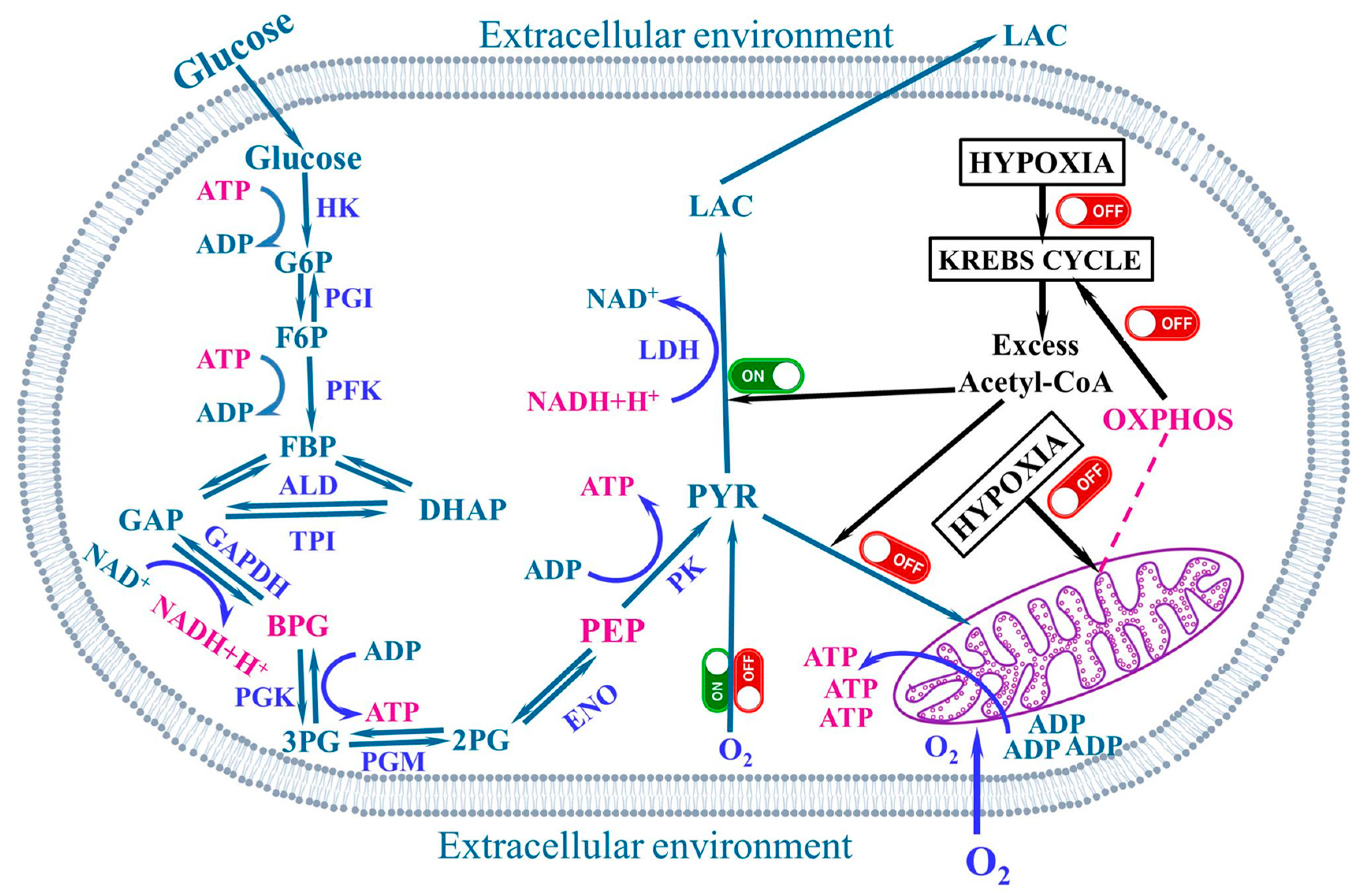 Stresses 03 00036 g003 Stresses 03 00036 g003