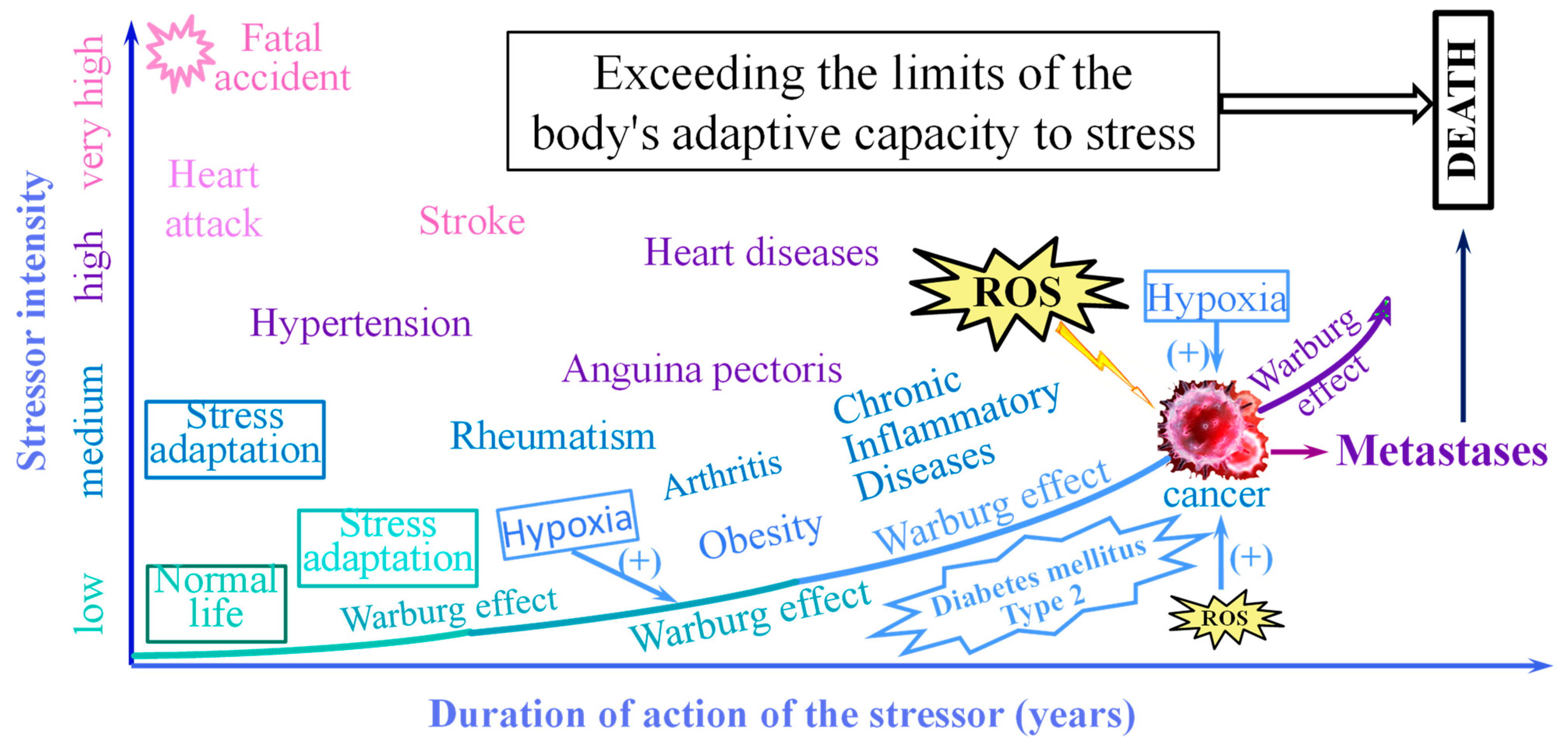 Stresses 03 00036 g004 Stresses 03 00036 g004