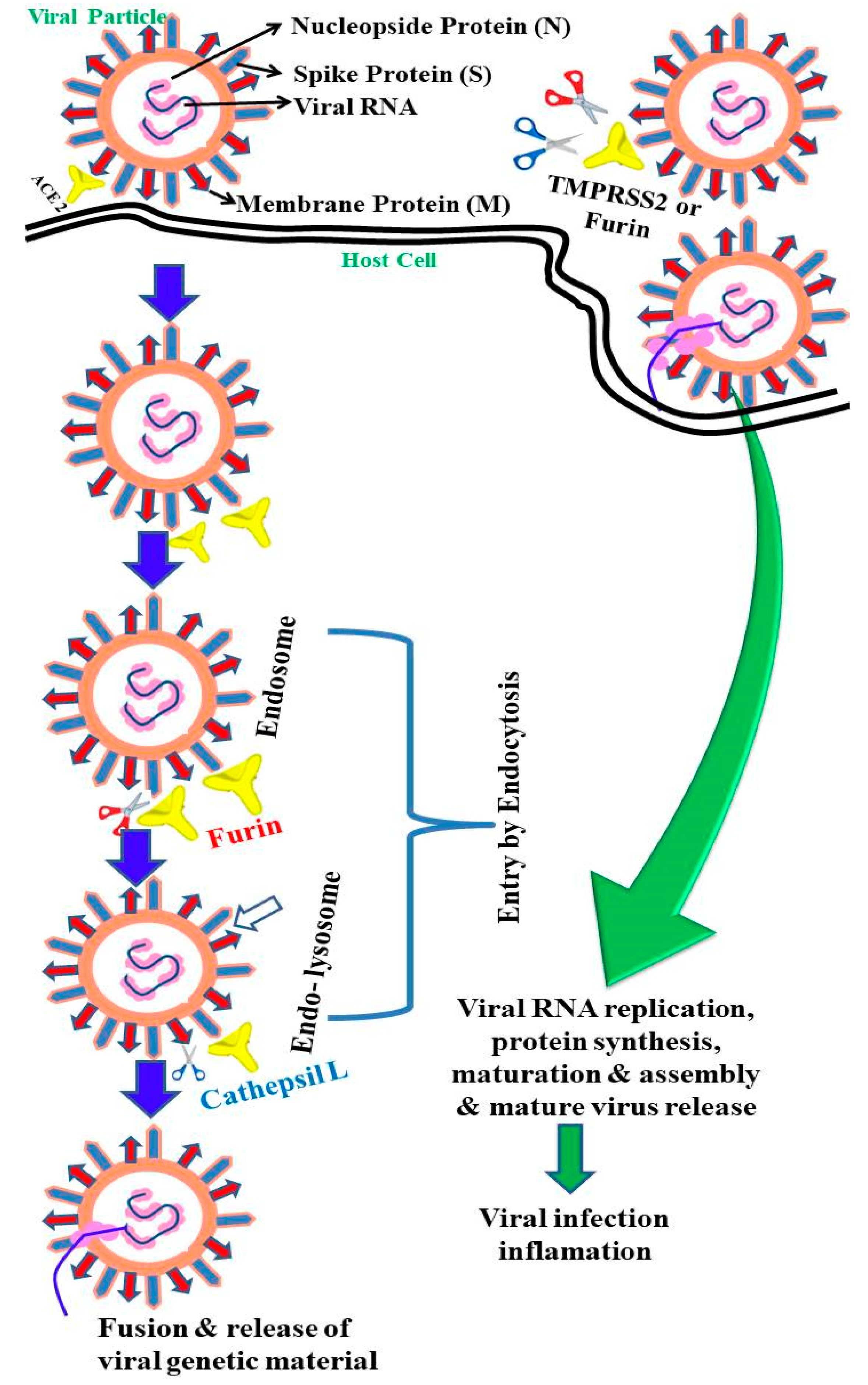 SeroXen Mechanisms: Exploring Distribution, Risks, and Impact