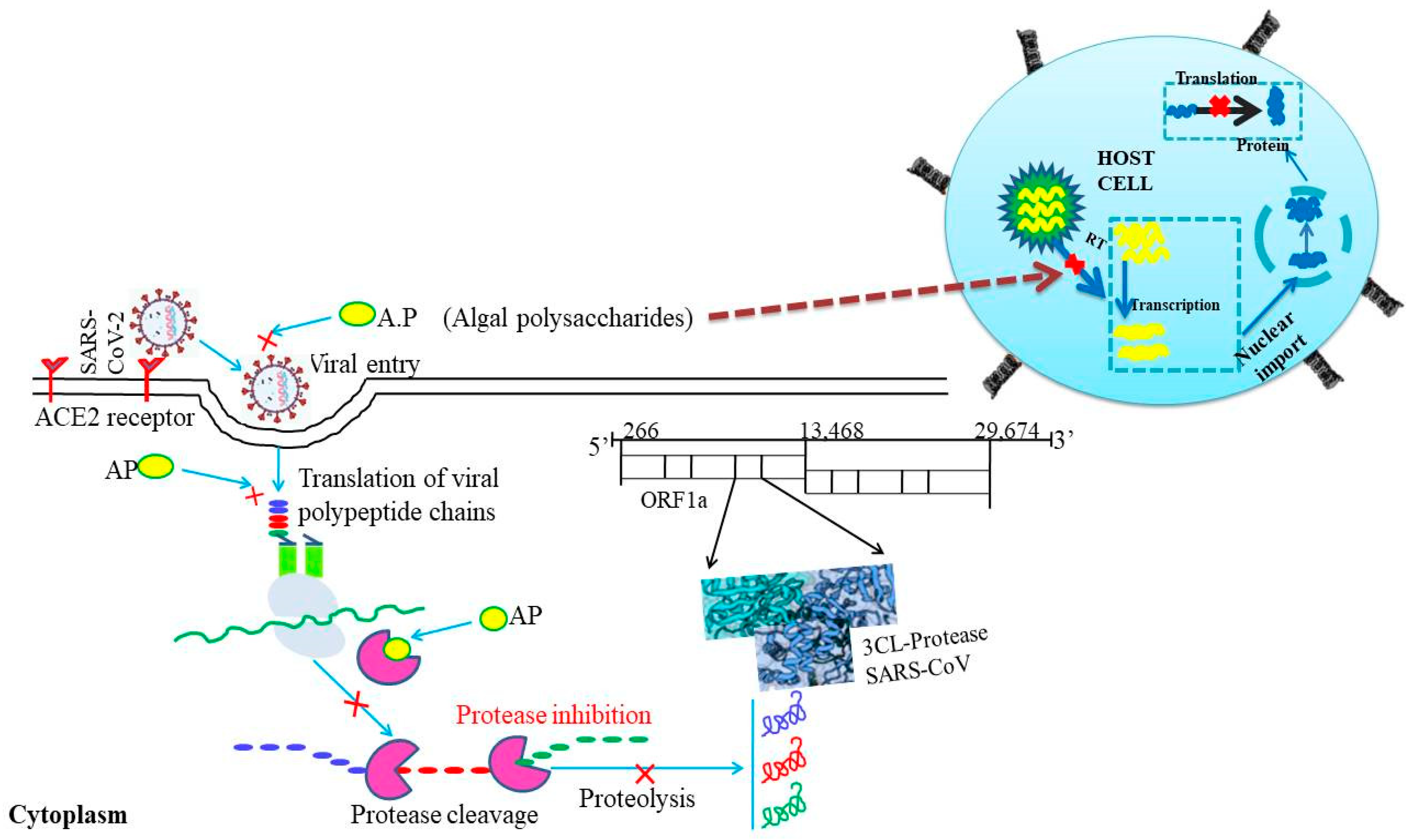 Stresses 03 00039 g002