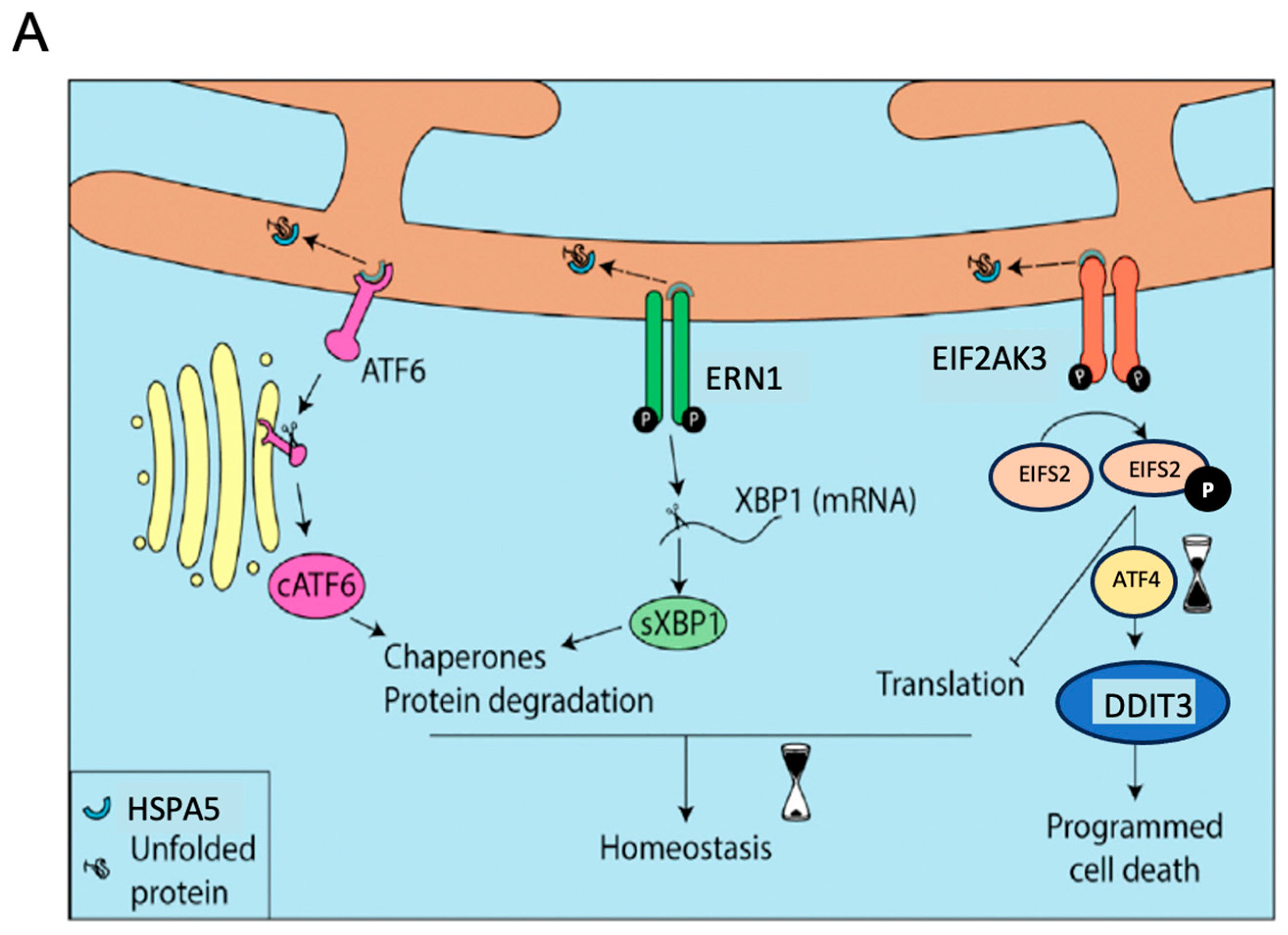 Stresses 03 00044 g003a Stresses 03 00044 g003a