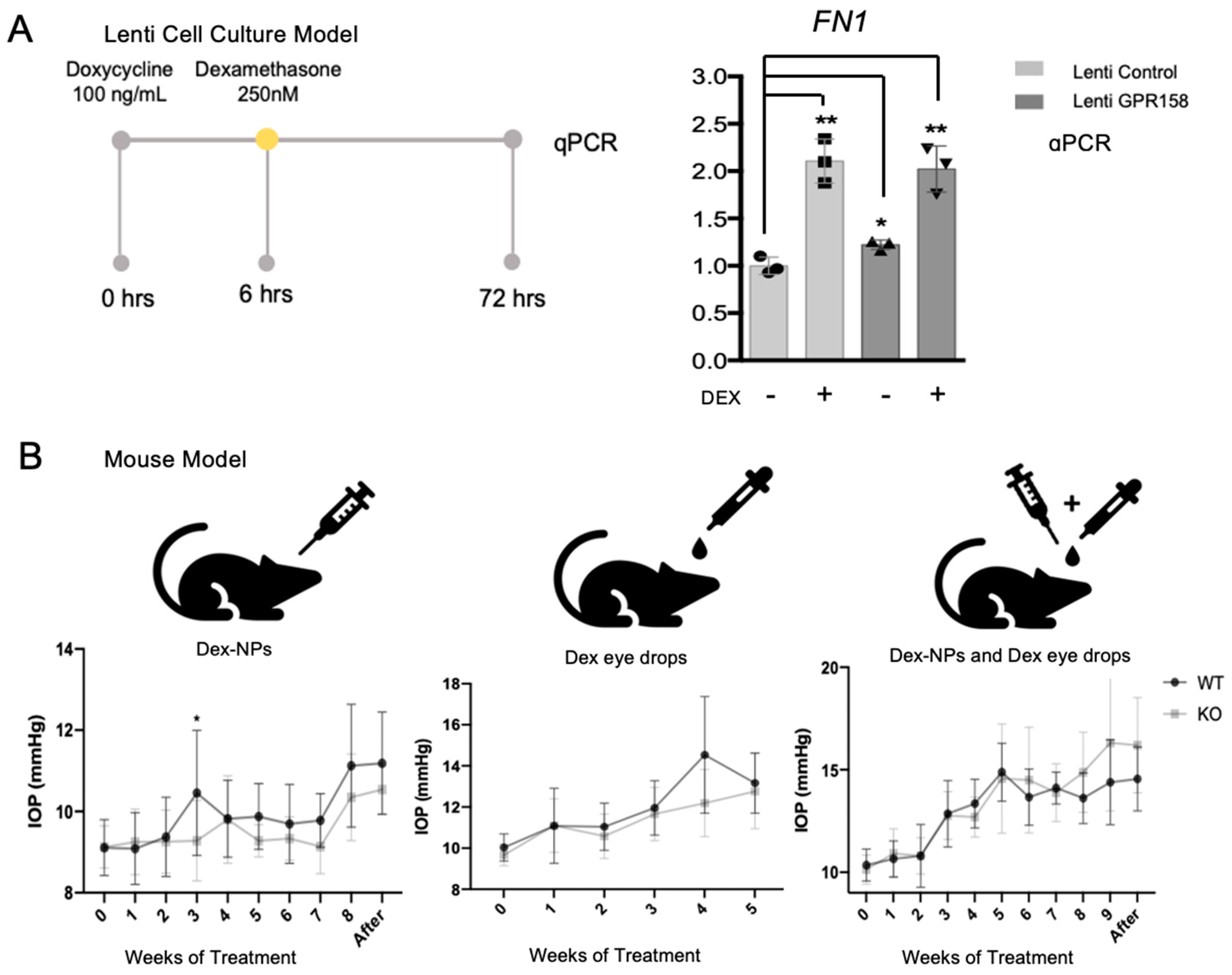 Stresses 03 00044 g004 Stresses 03 00044 g004