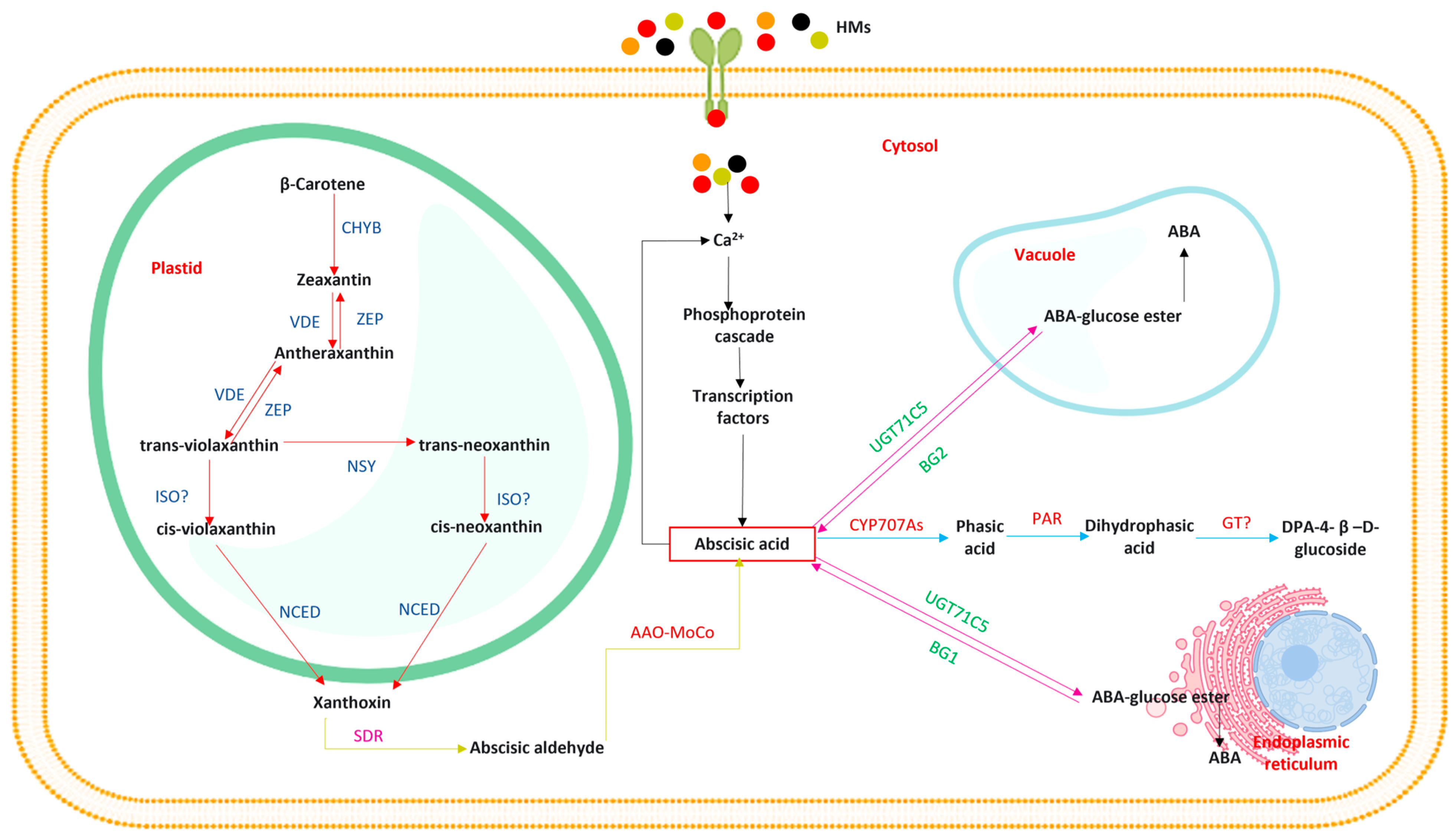 Stresses 03 00046 g002