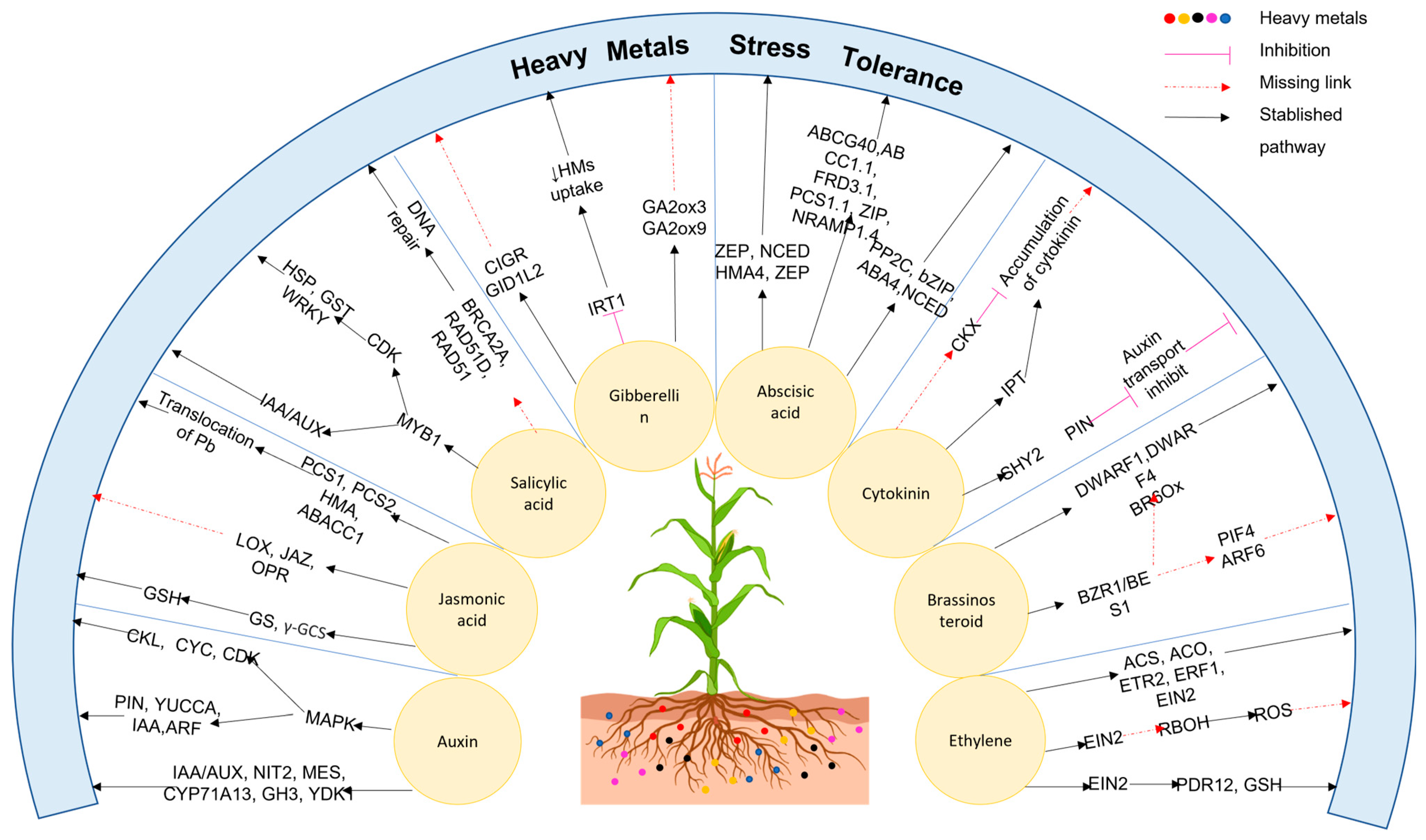 Stresses 03 00046 g003