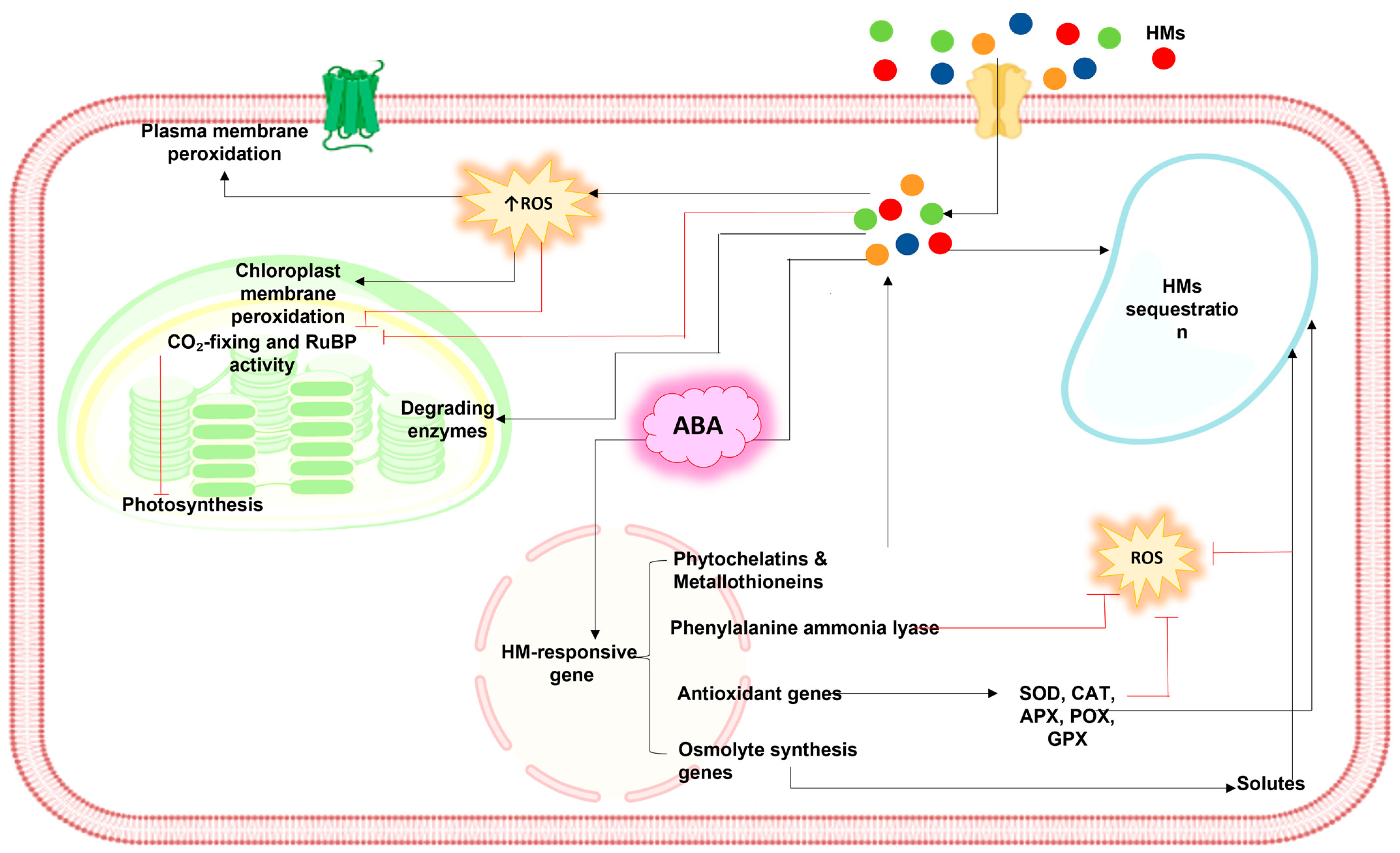 Stresses 03 00046 g004