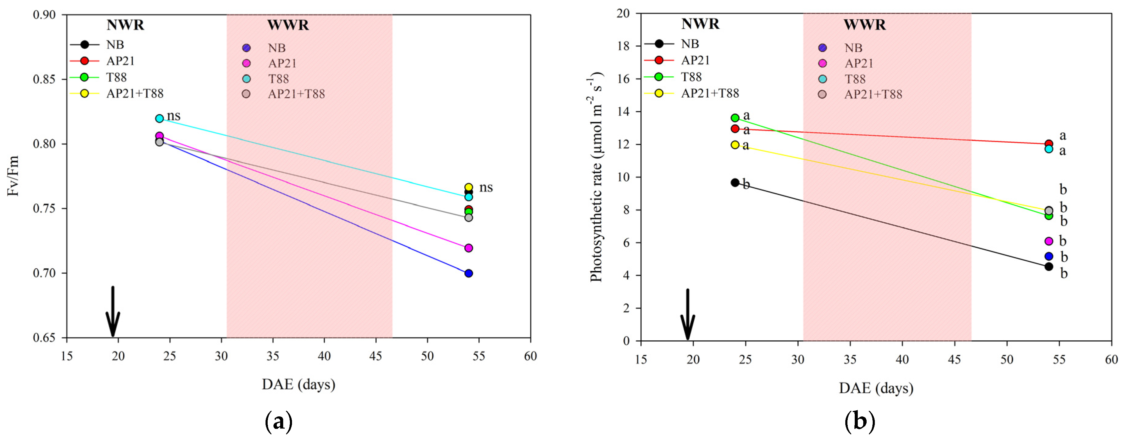Stresses 03 00057 g004 Stresses 03 00057 g004