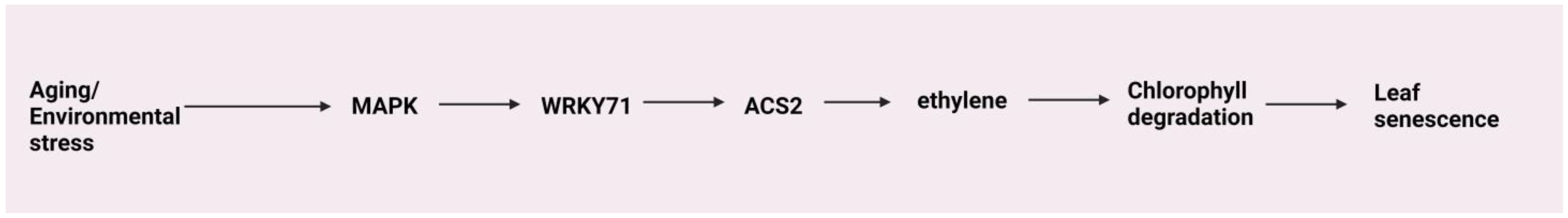 Stresses 04 00003 g007