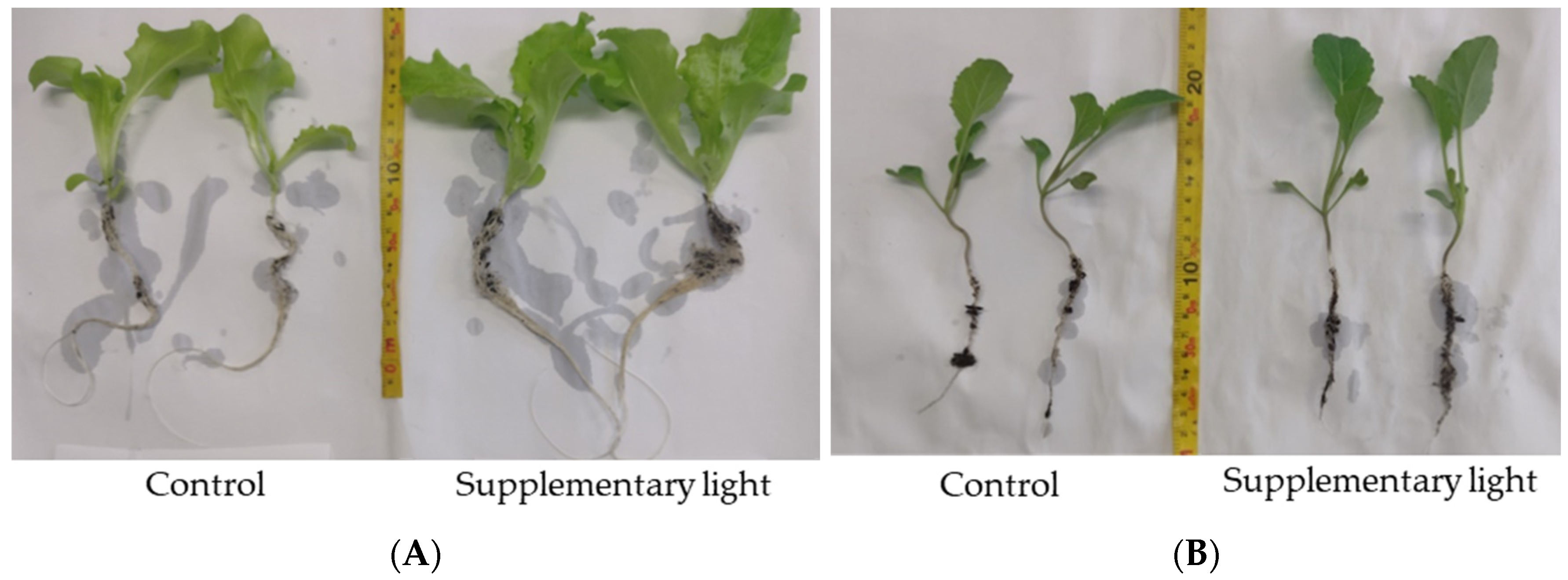 Stresses 04 00006 g001
