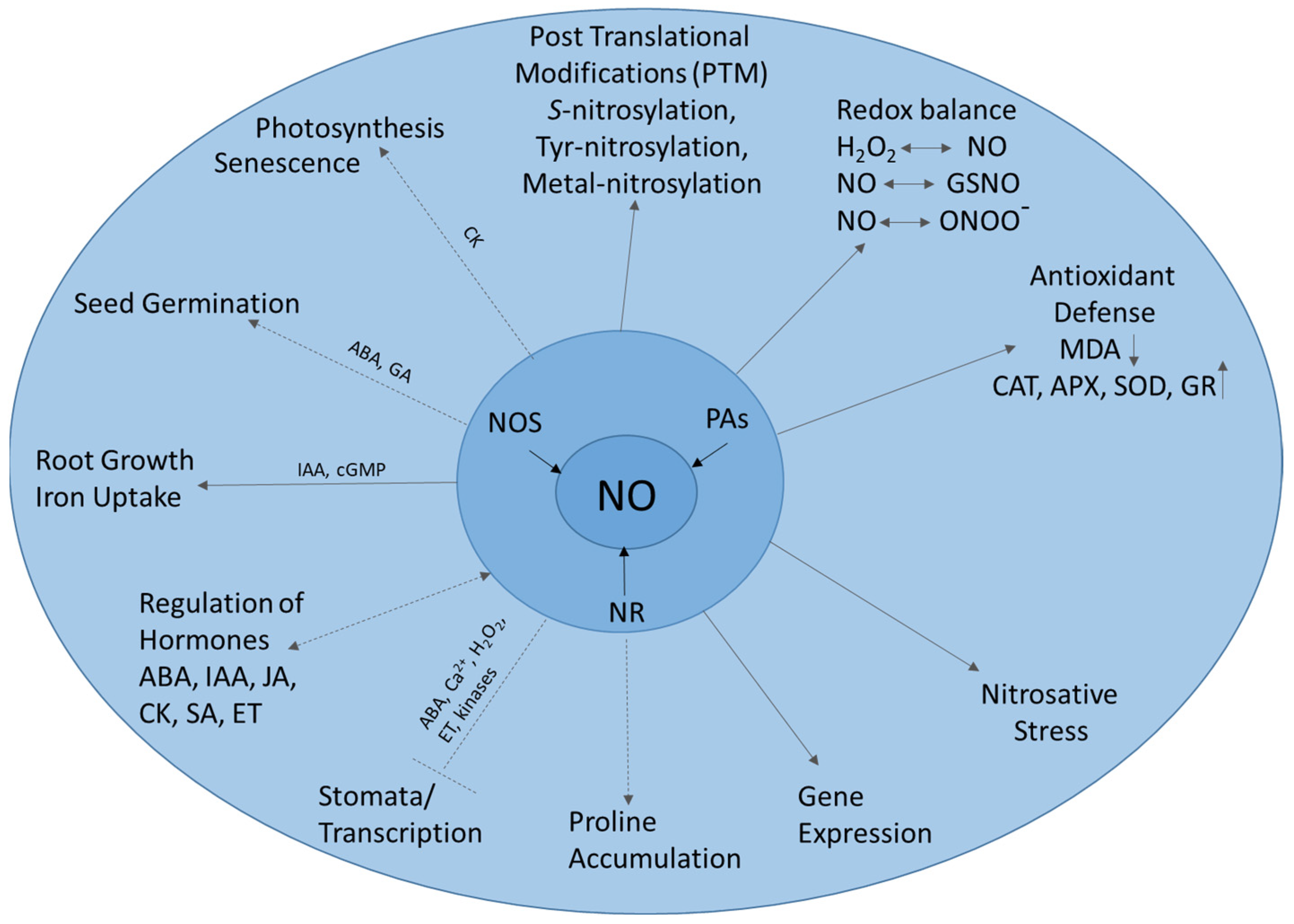 Stresses 04 00008 g001 Stresses 04 00008 g001