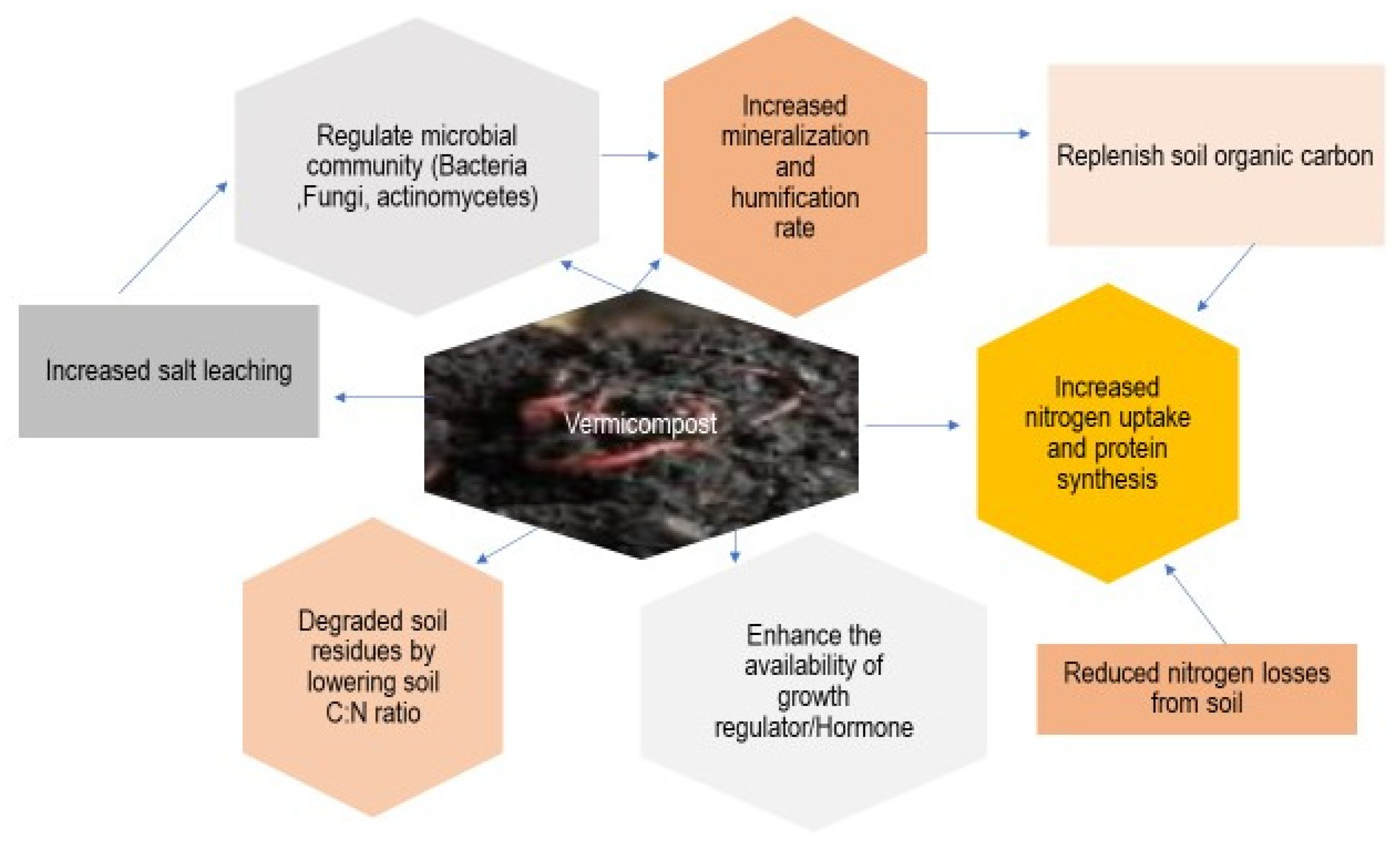 Stresses 04 00011 g005
