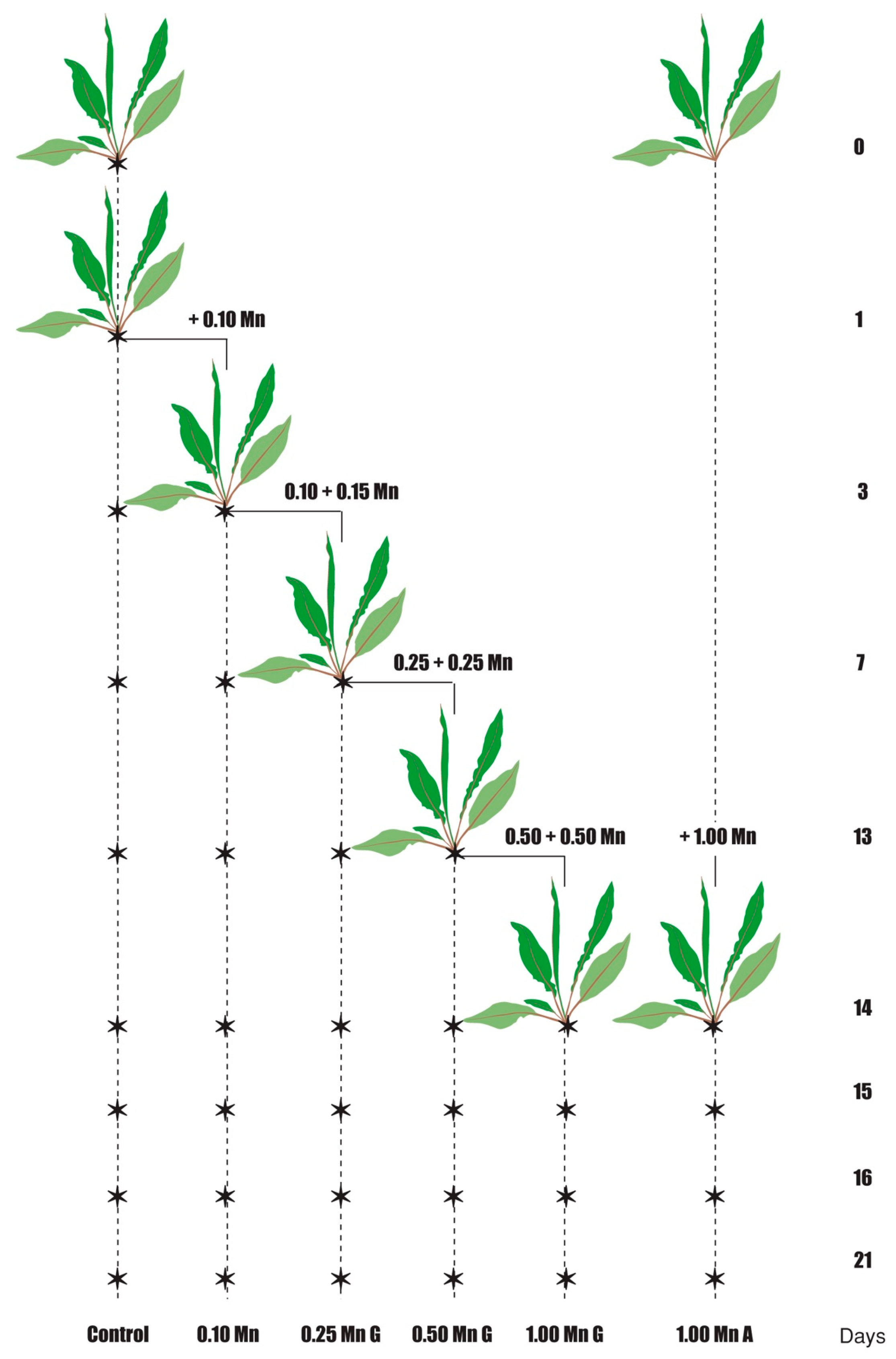 Stresses 04 00013 g006
