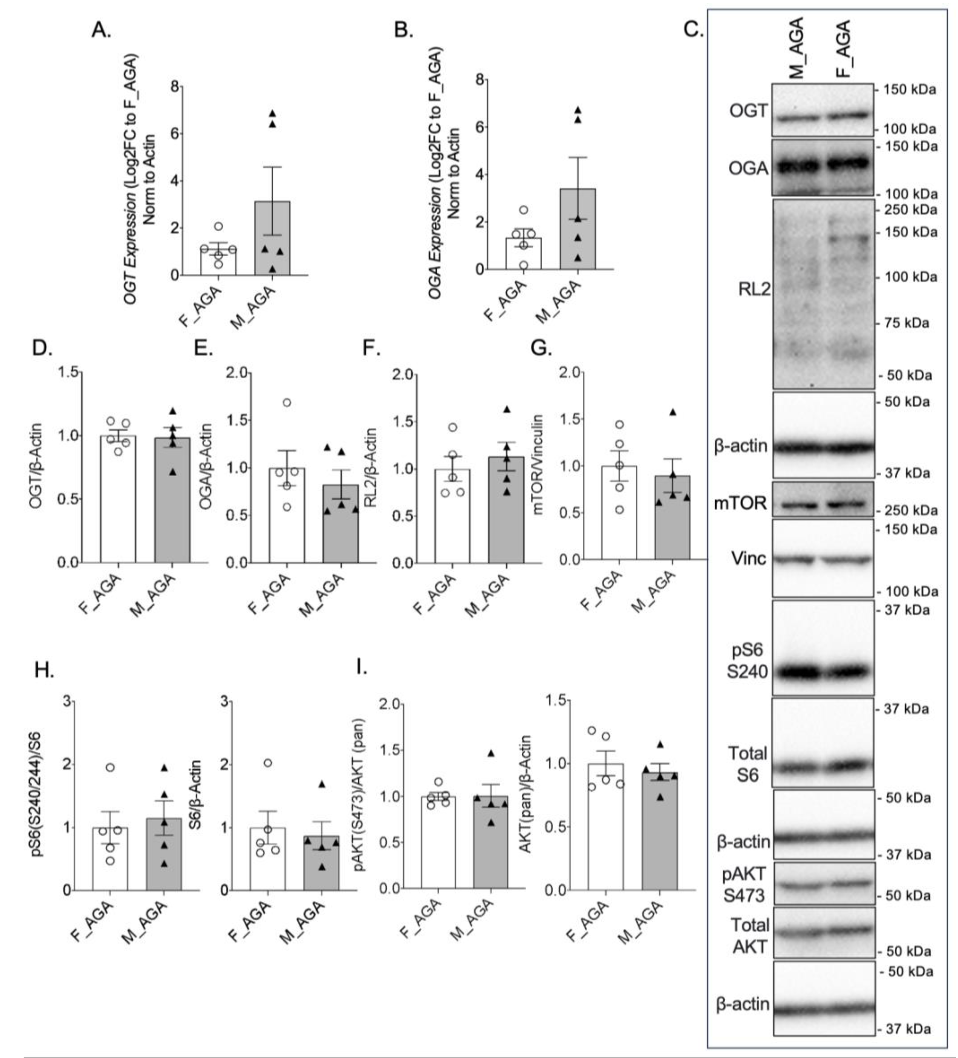 Stresses 04 00019 g002