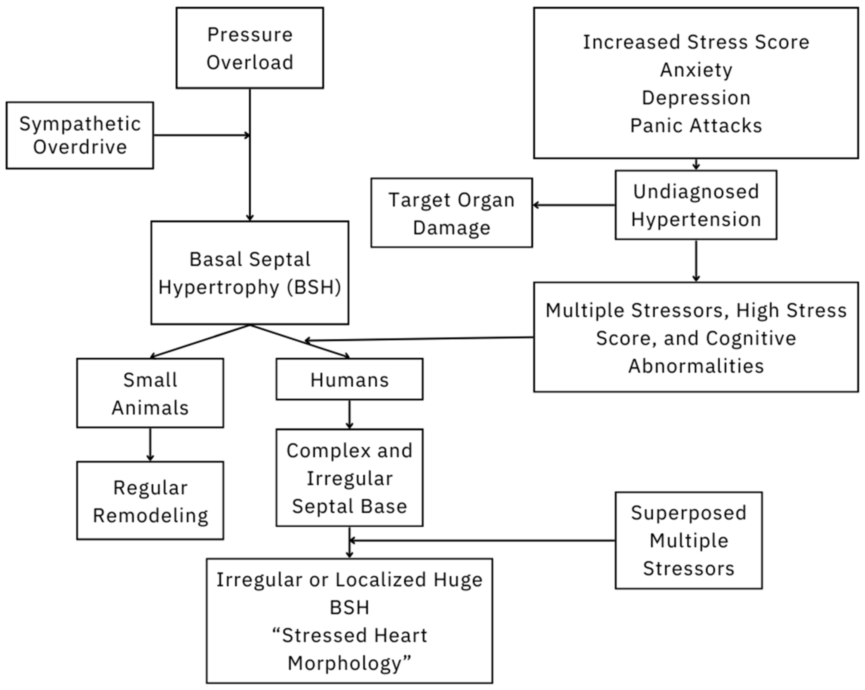 Stresses 04 00021 g001 Stresses 04 00021 g001