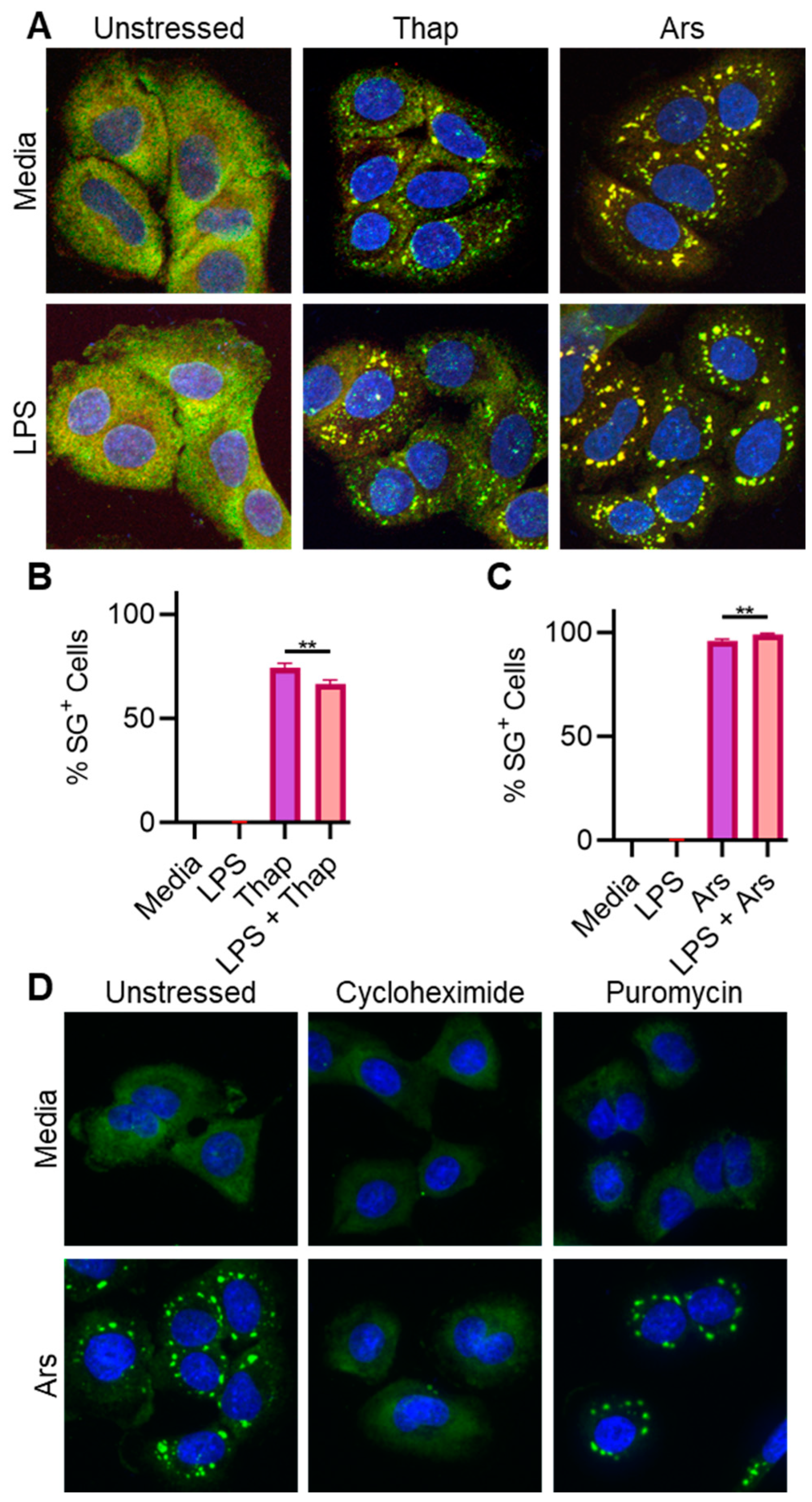 Stresses 04 00027 g002