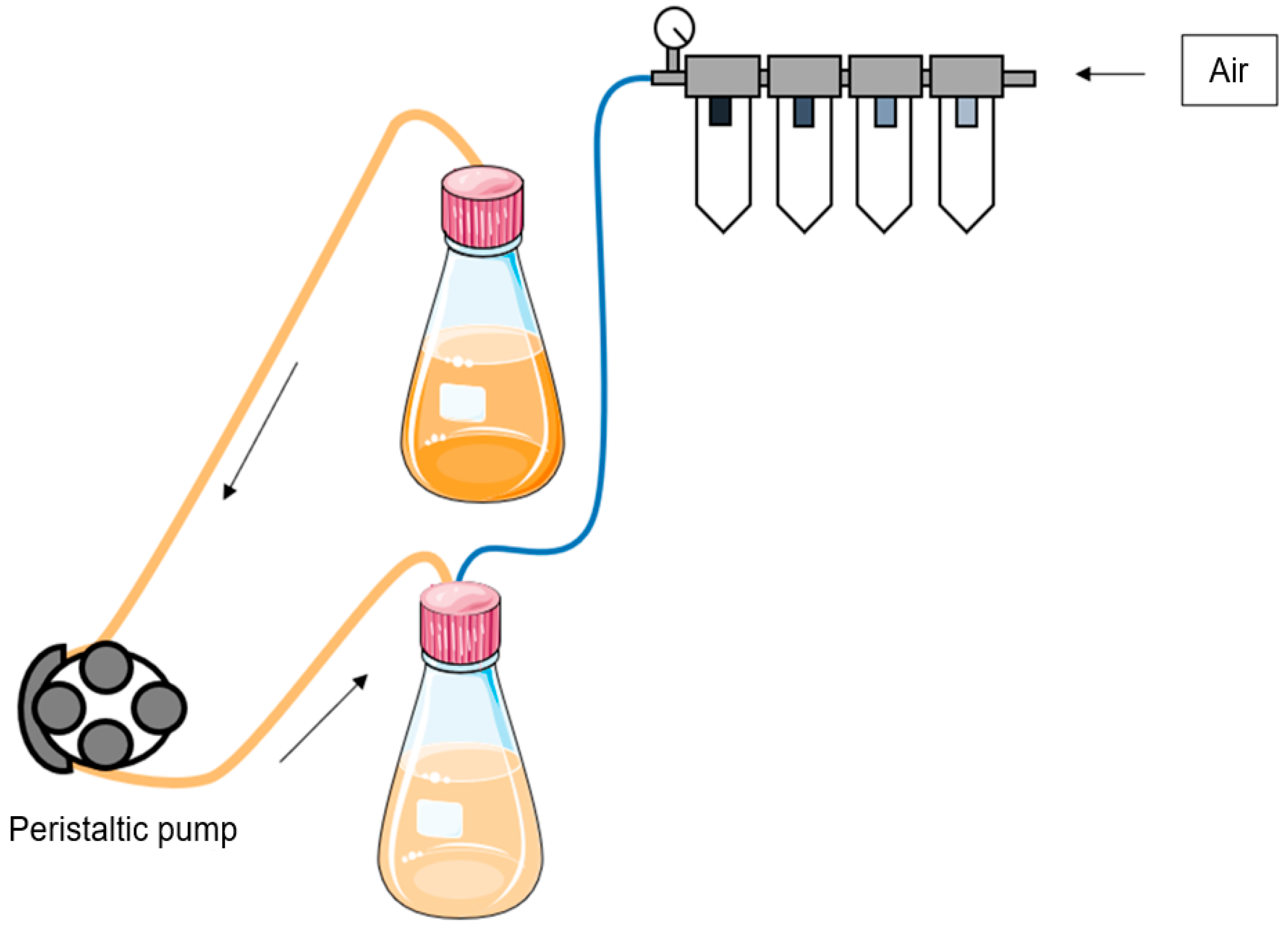 Stresses 04 00028 g001