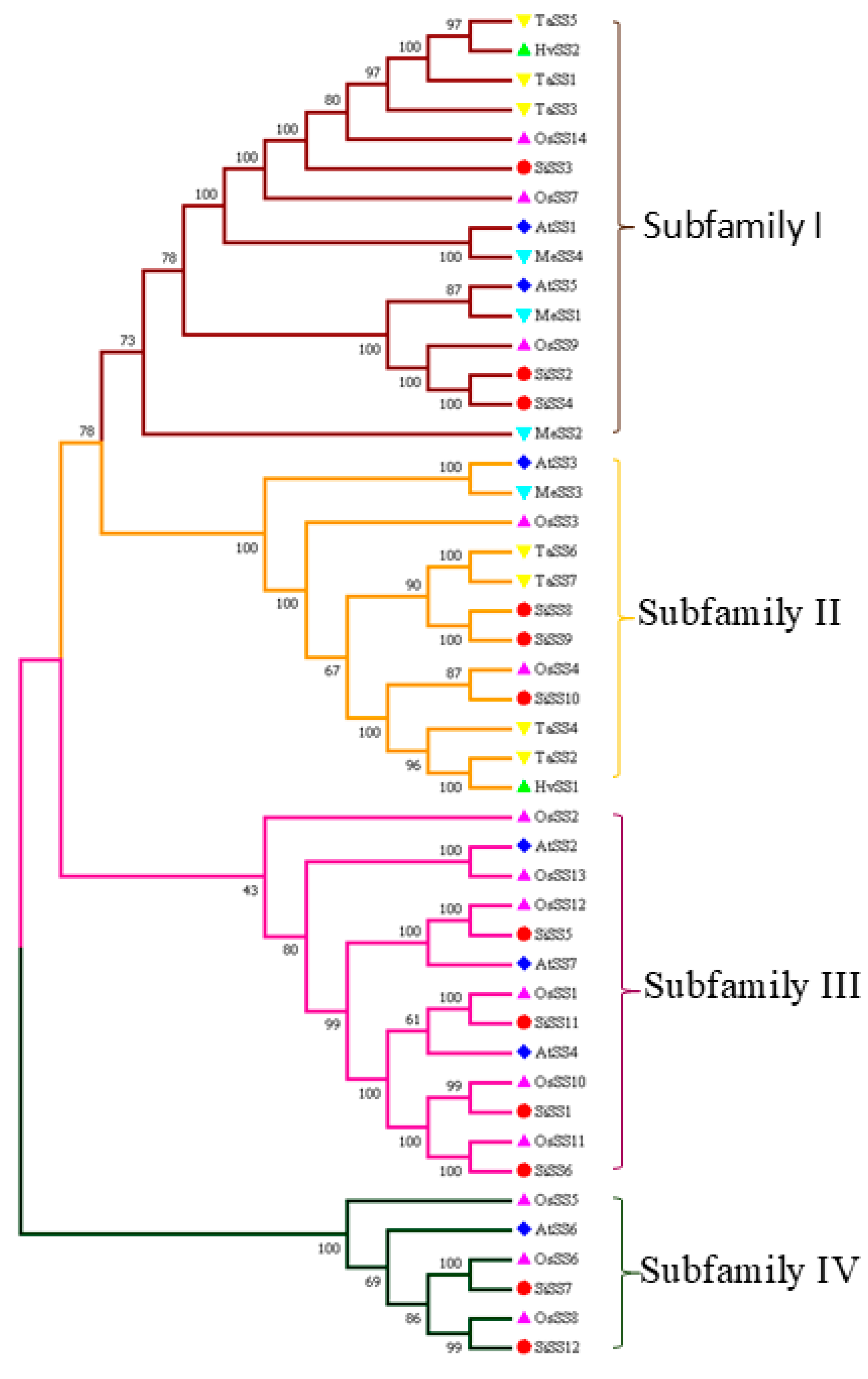 Stresses 04 00033 g001 Stresses 04 00033 g001