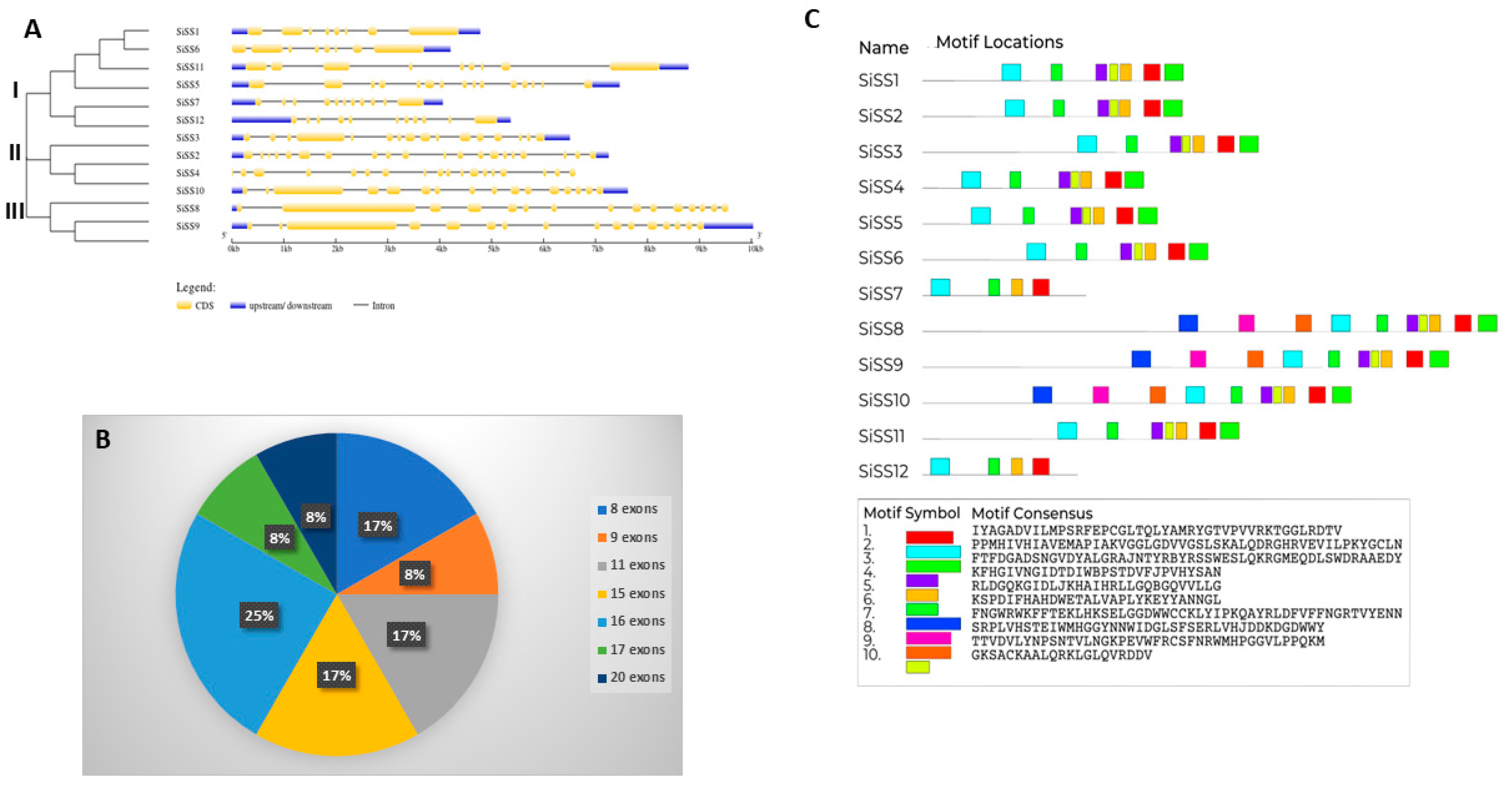 Stresses 04 00033 g002 Stresses 04 00033 g002