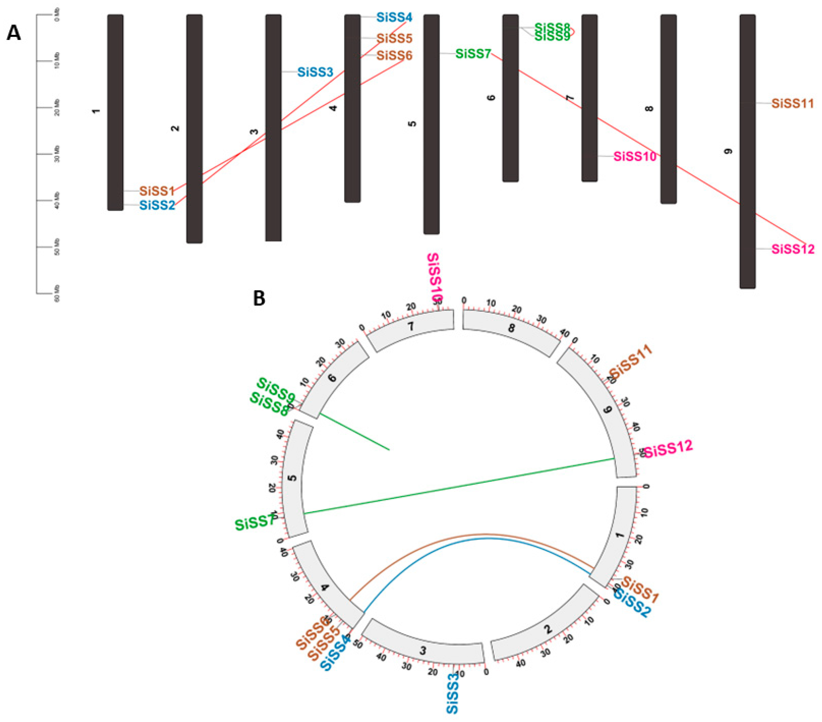 Stresses 04 00033 g003 Stresses 04 00033 g003