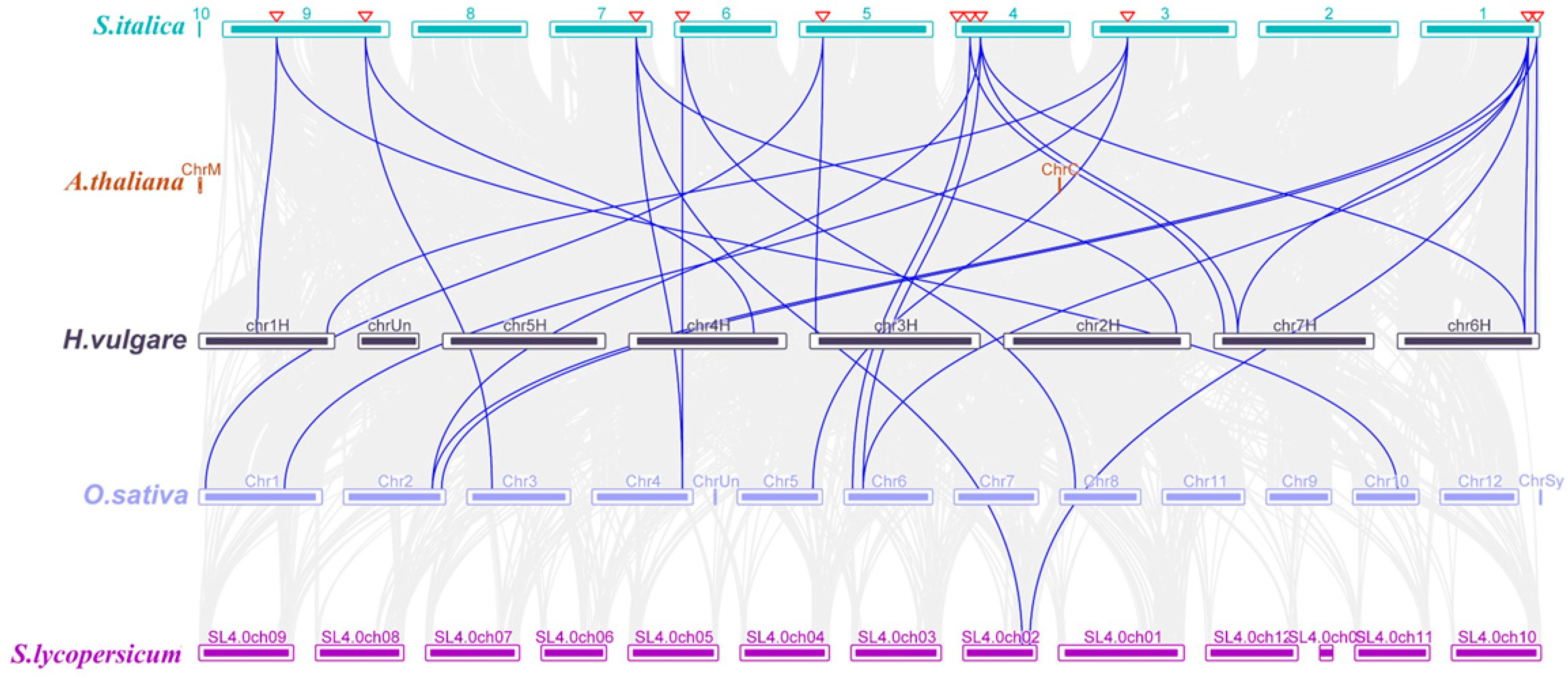 Stresses 04 00033 g004 Stresses 04 00033 g004