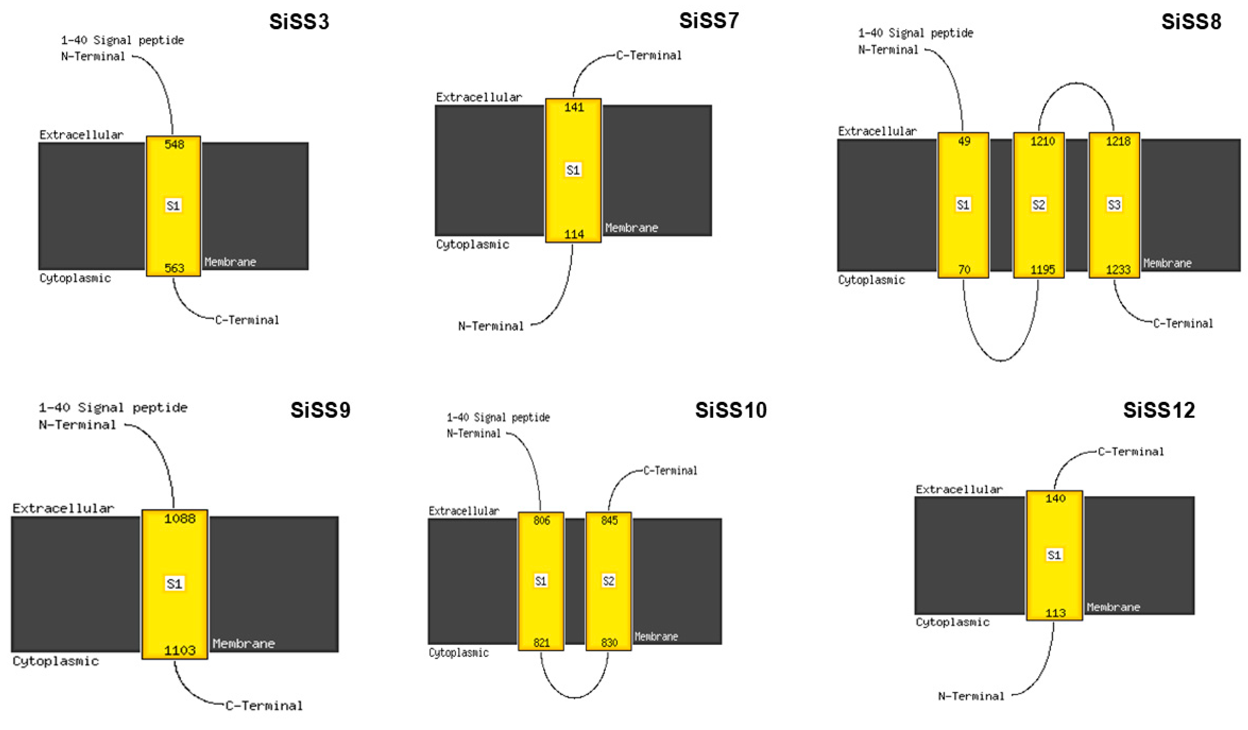 Stresses 04 00033 g007 Stresses 04 00033 g007