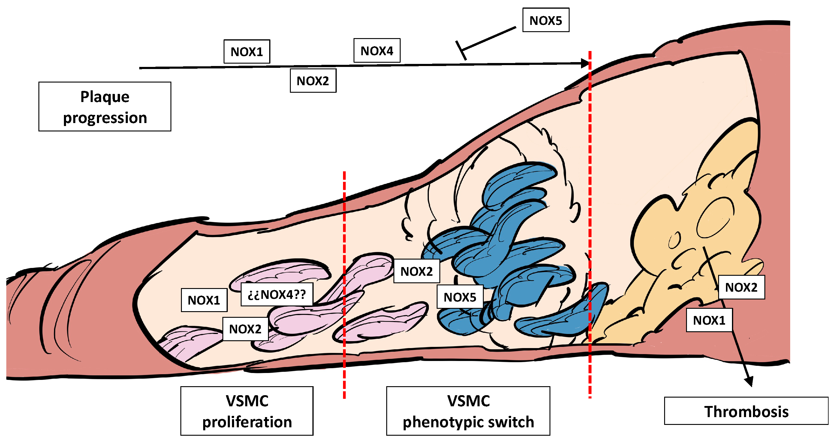 Stresses 04 00036 g004