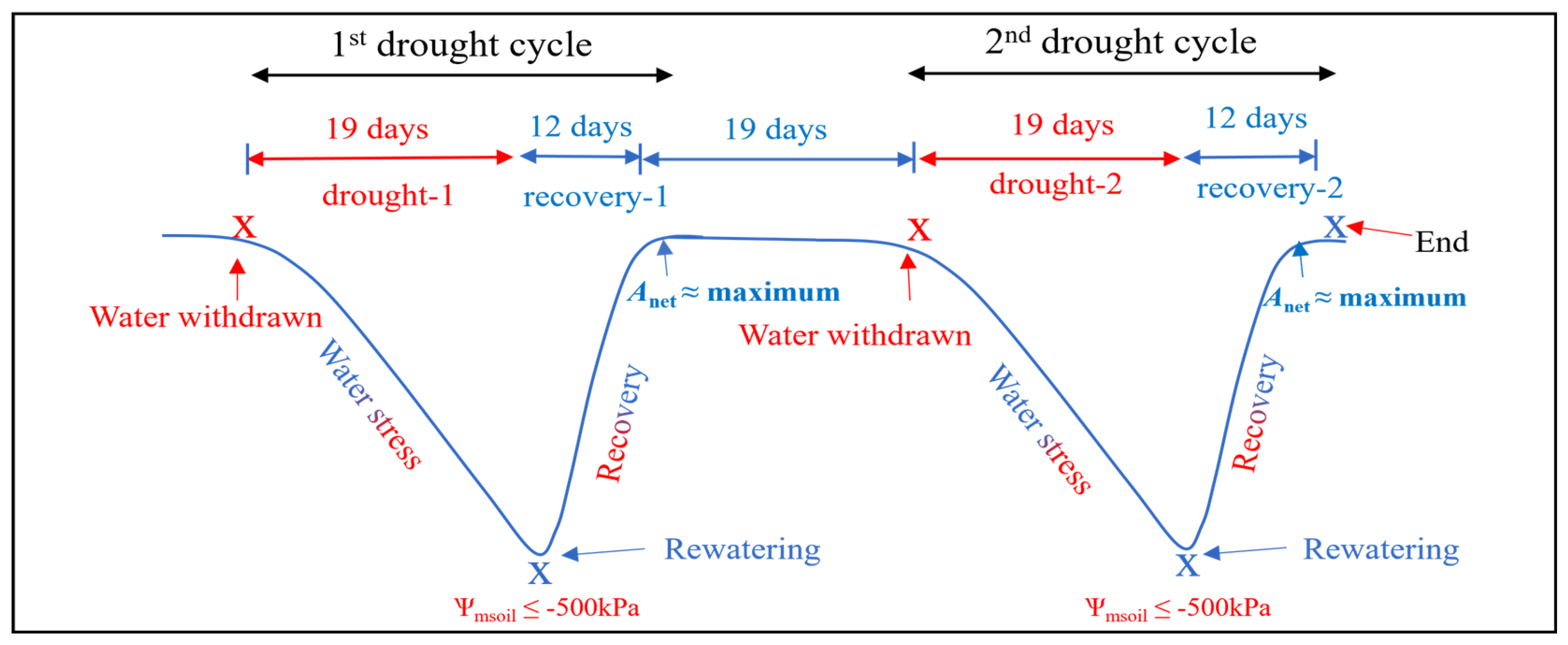 Stresses 04 00037 g008