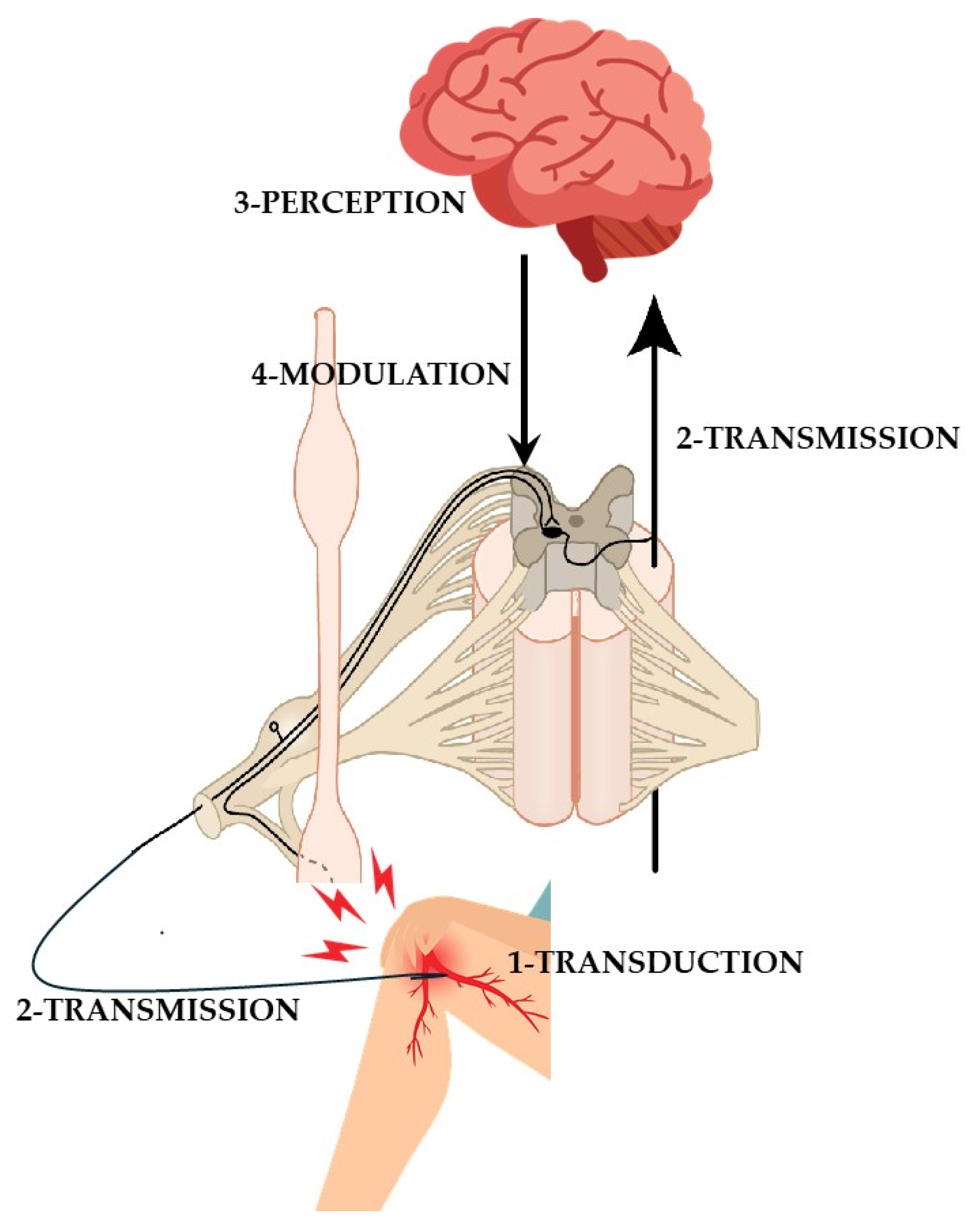 Stresses 05 00007 g003 Stresses 05 00007 g003