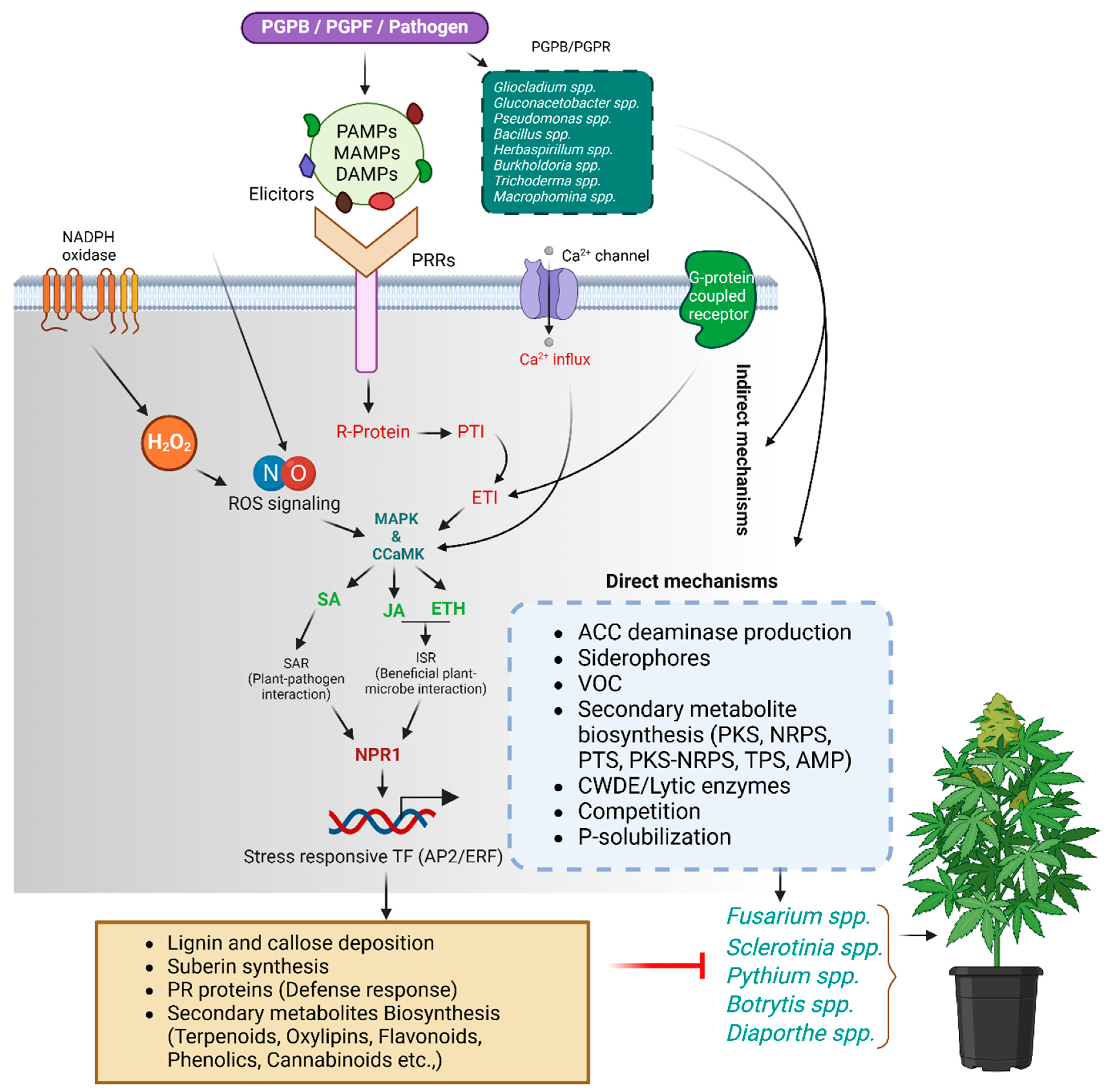Stresses 05 00016 g001