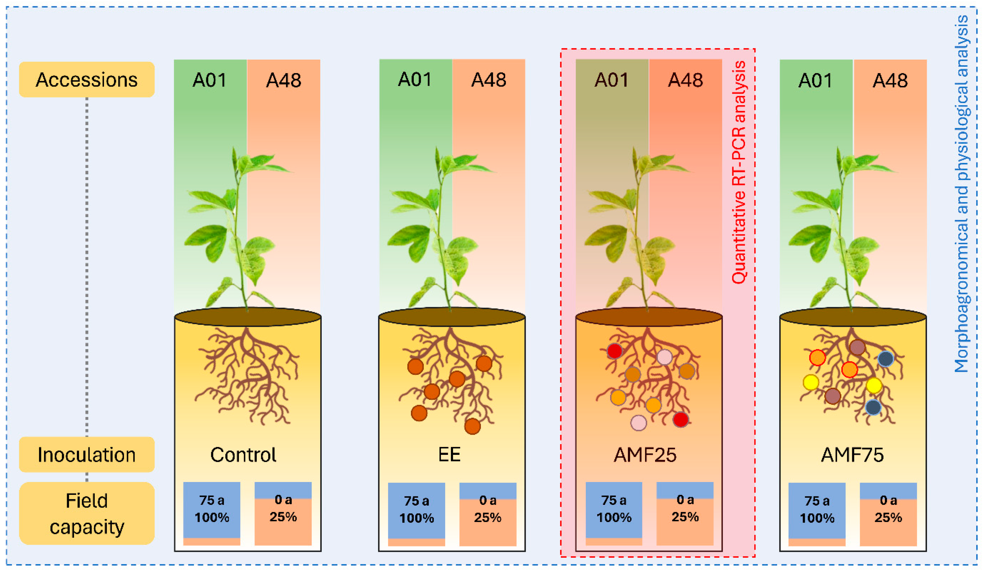 Stresses 05 00018 g008 Stresses 05 00018 g008