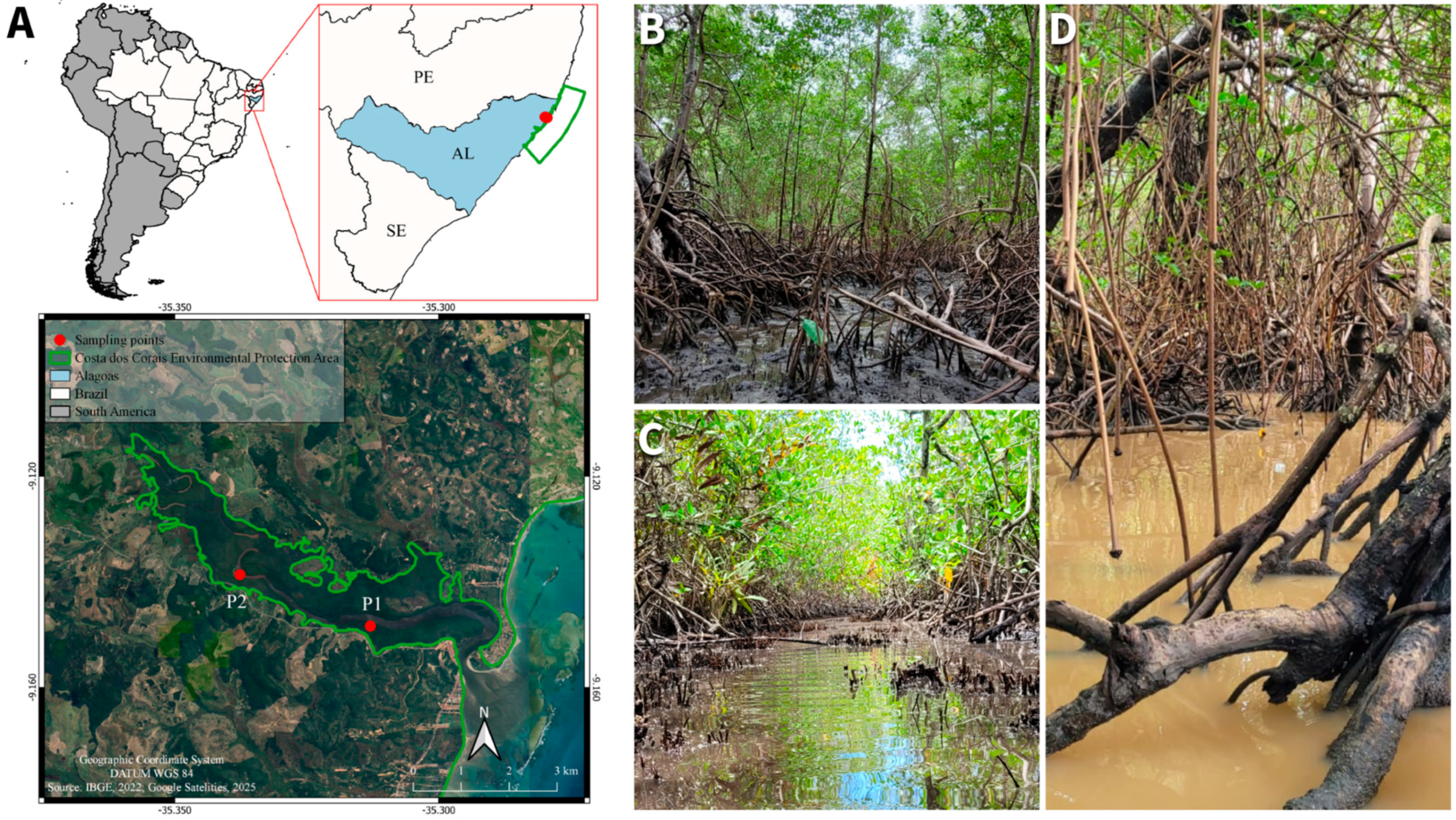 Stresses 05 00021 g003