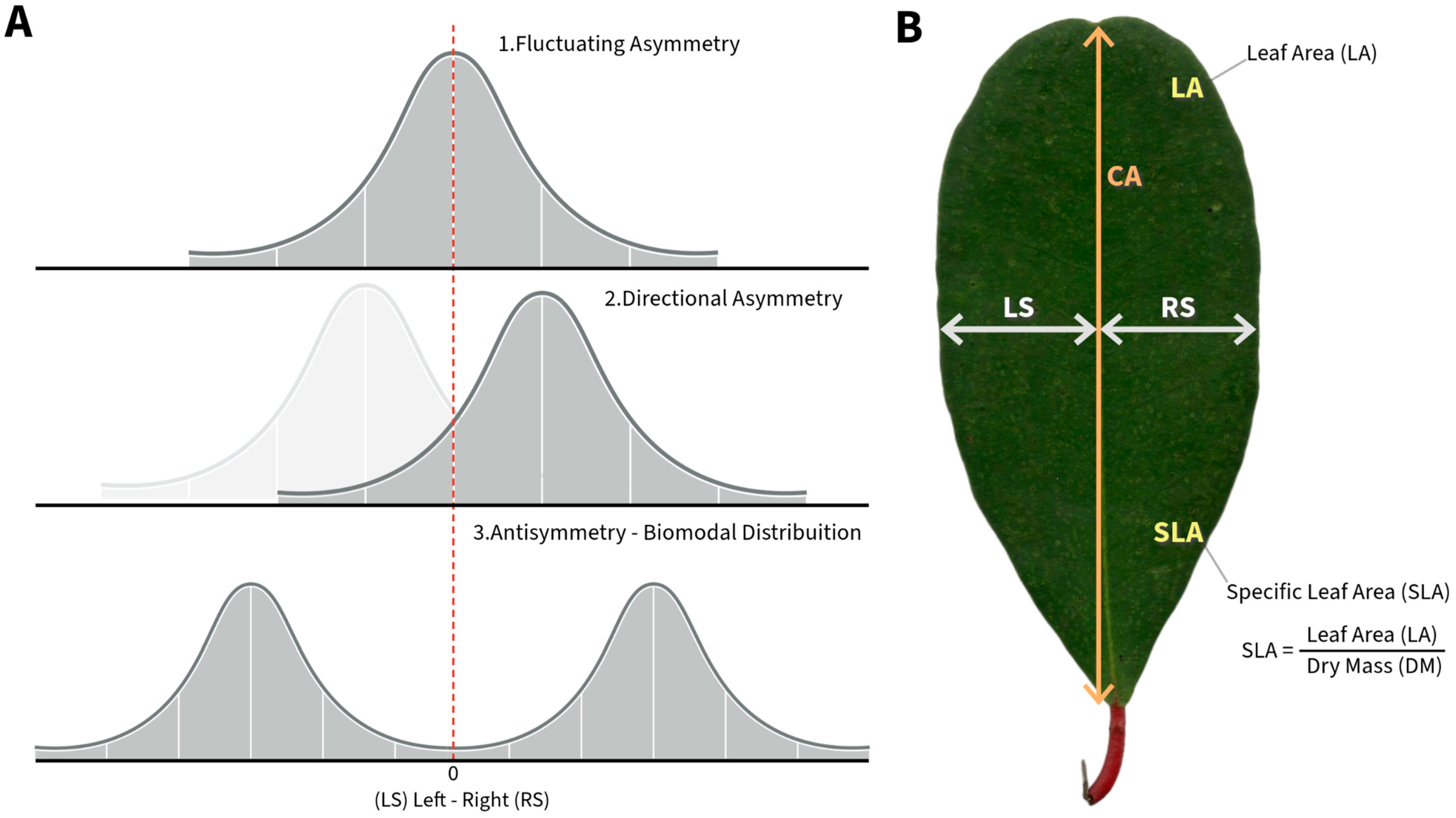 Stresses 05 00021 g005