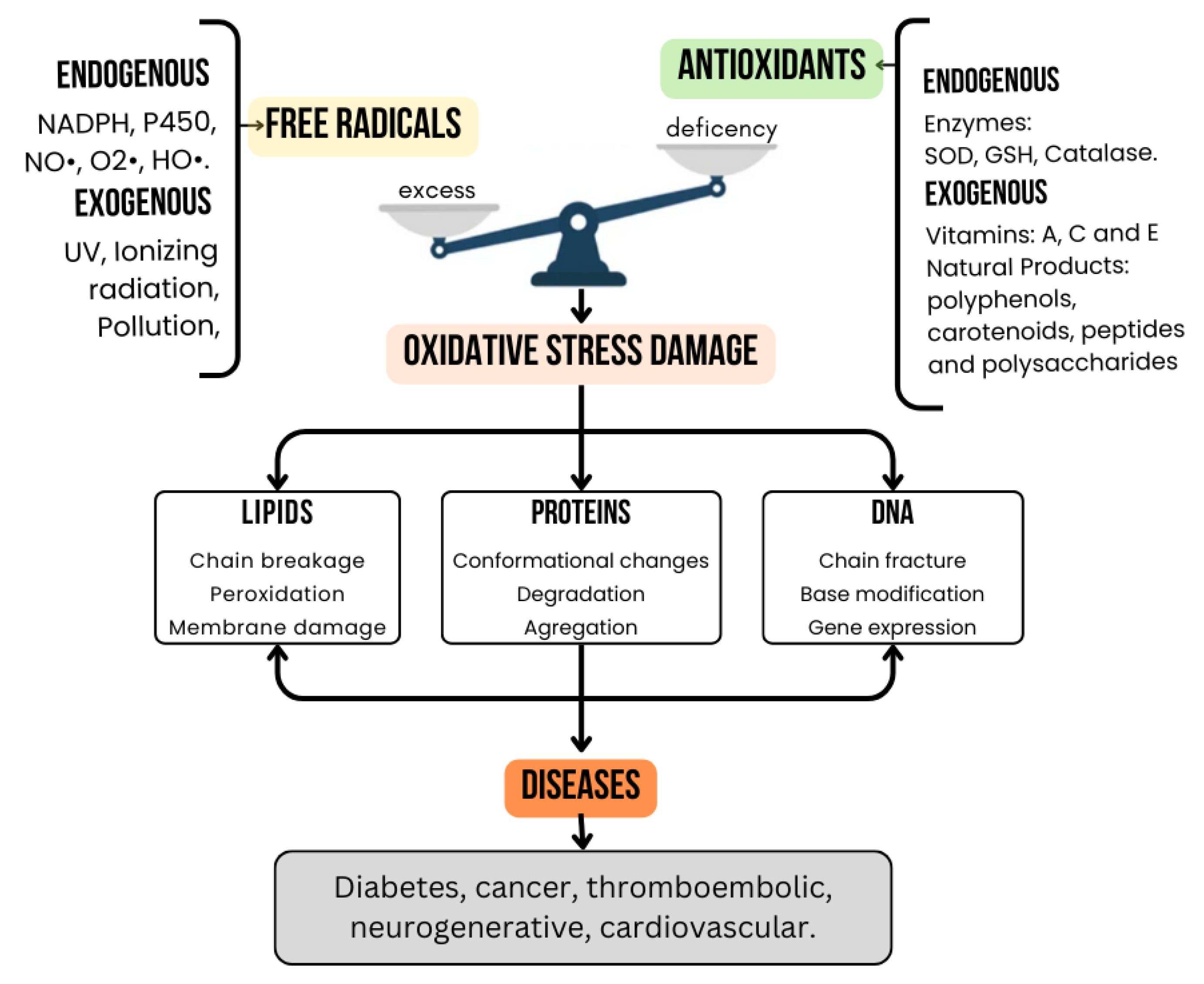 Stresses 05 00022 g001