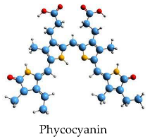 Stresses 05 00022 i006