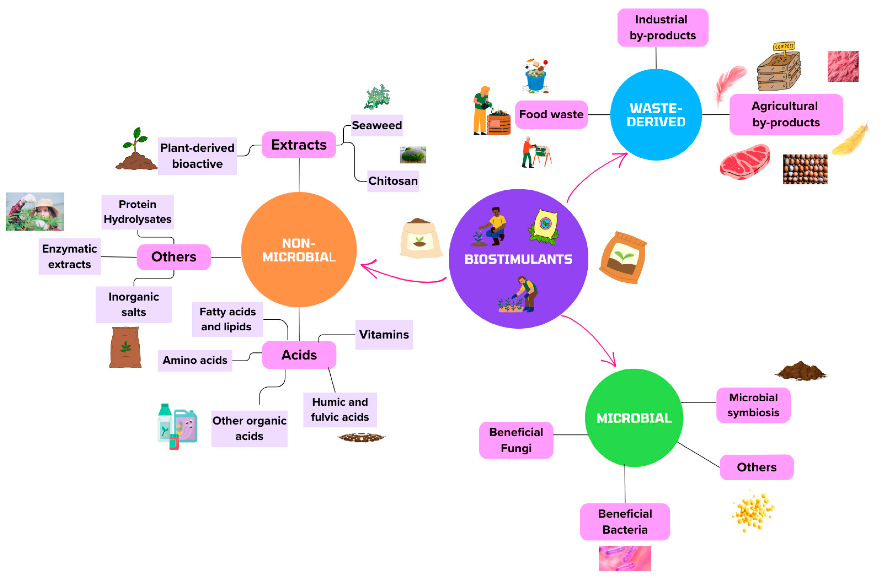 Stresses 05 00023 g001