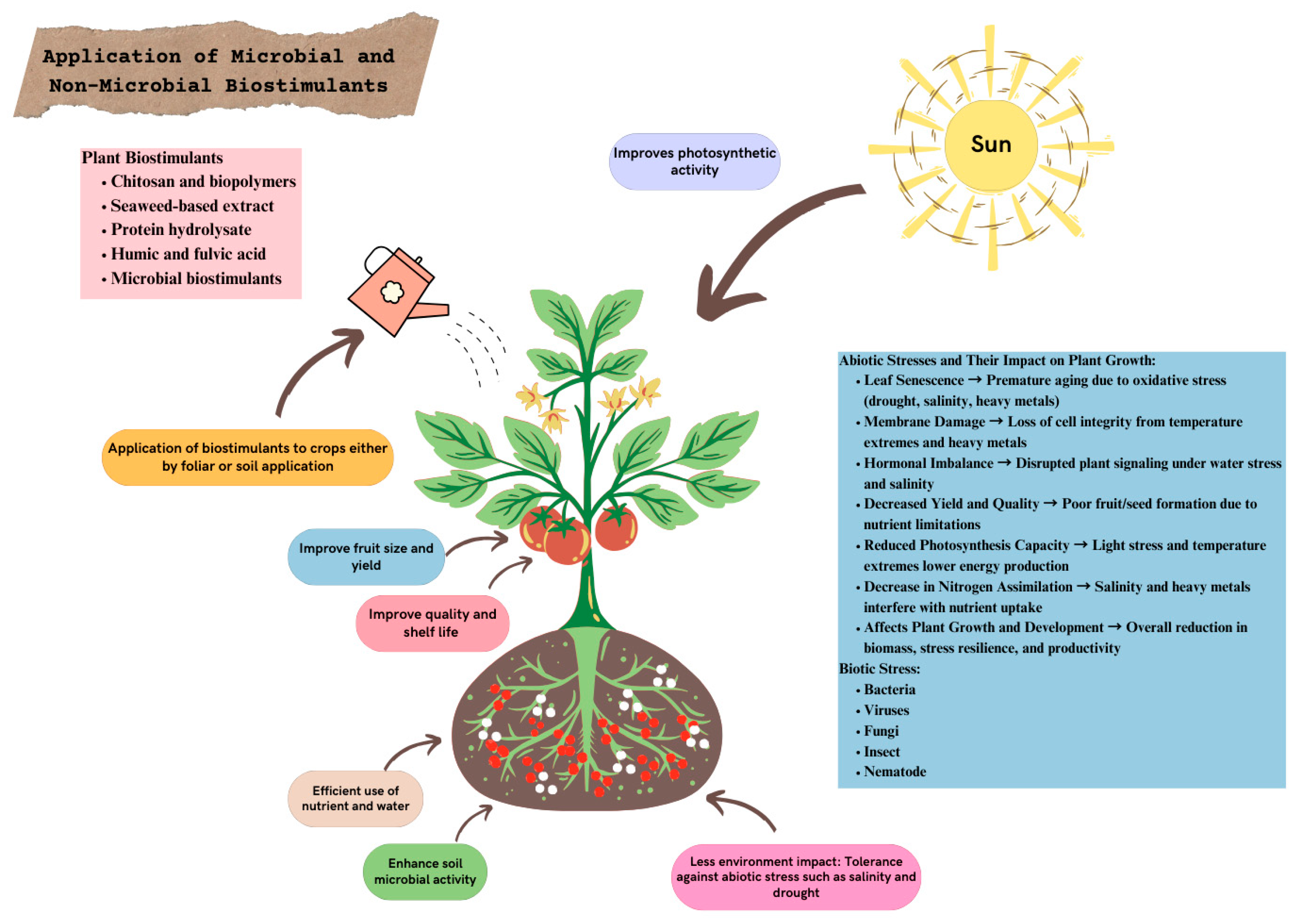 Stresses 05 00023 g002