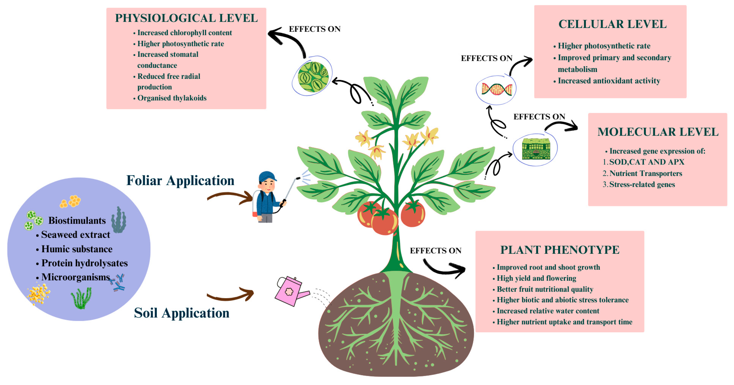 Stresses 05 00023 g003