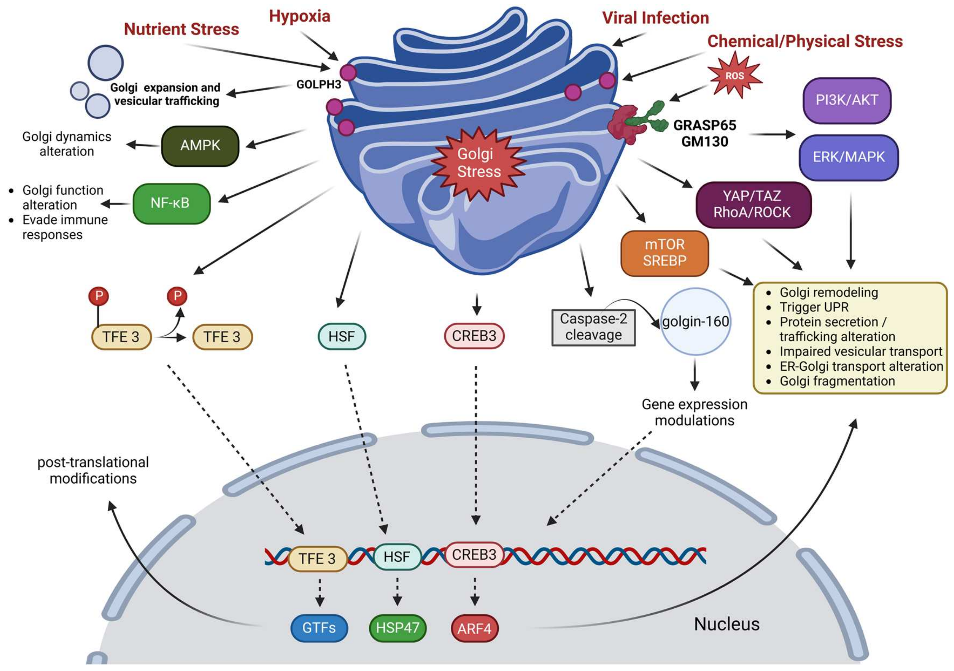 Stresses 05 00026 g005