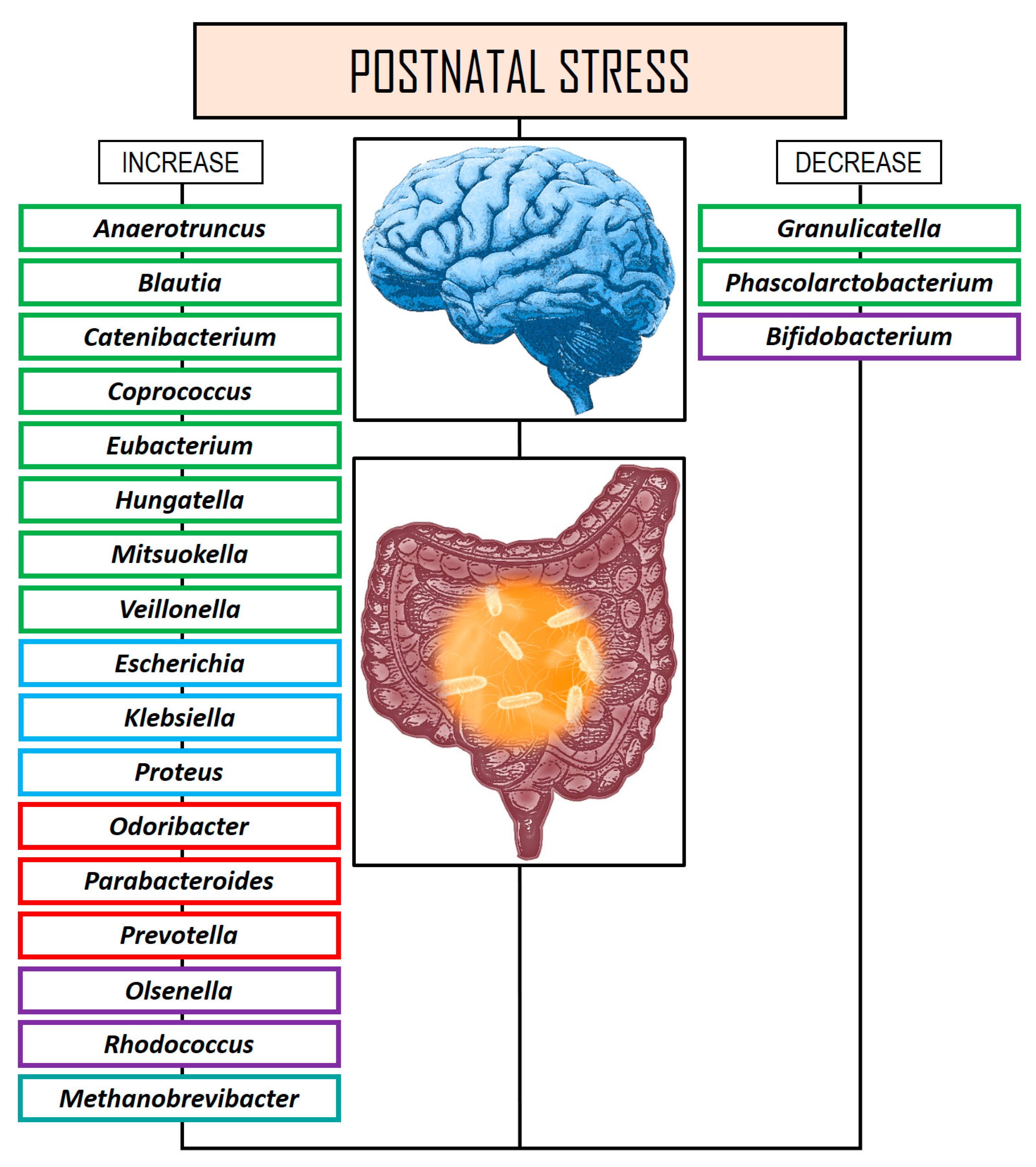 Stresses 05 00038 g002
