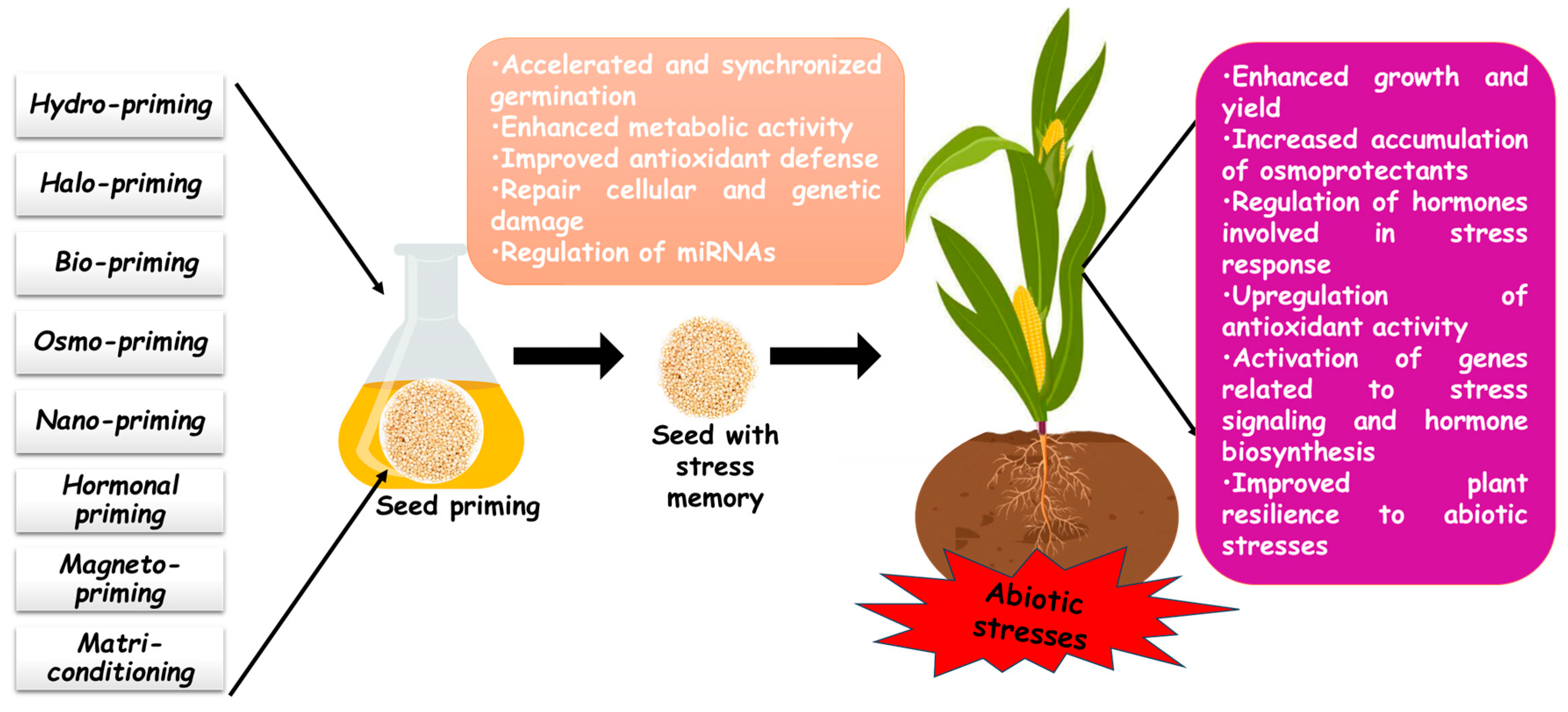 Stresses 05 00039 g001