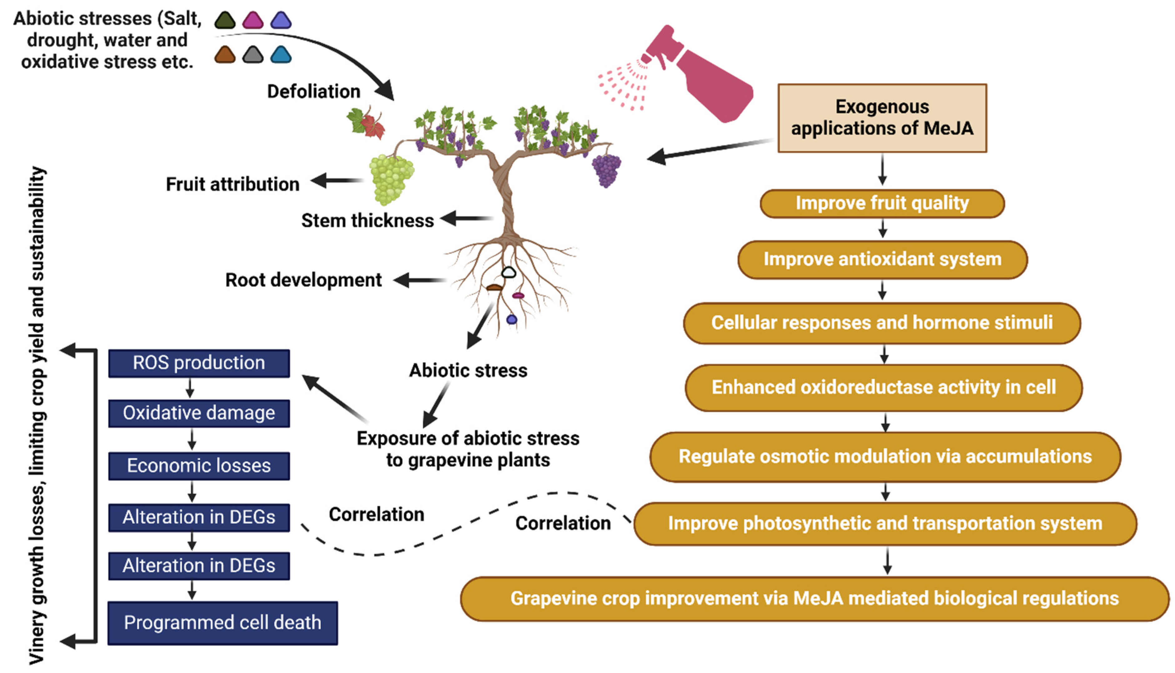 Stresses 05 00040 g005